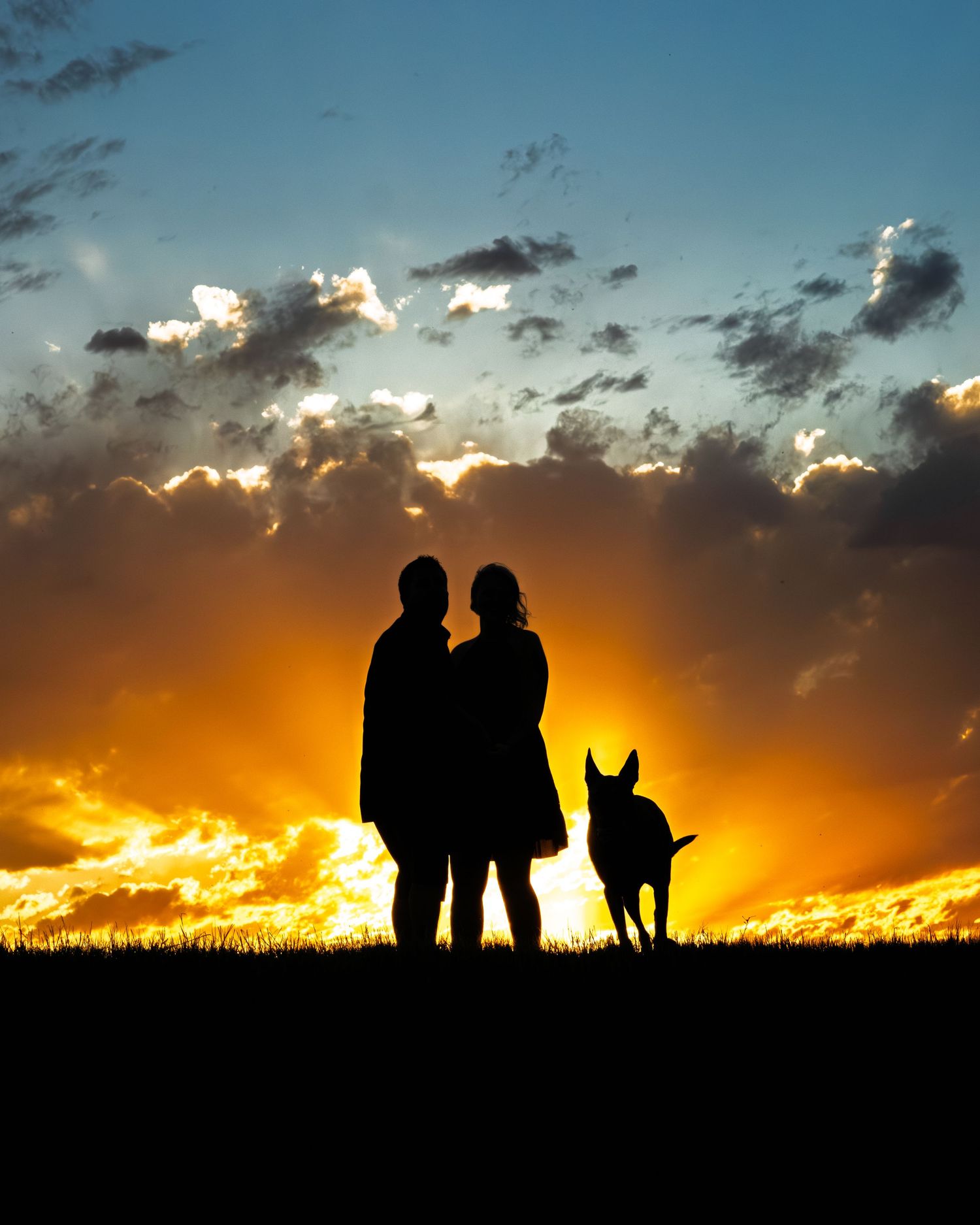 Romantic silhouette of a couple and their dog standing in a field against a vibrant colorful sunset.