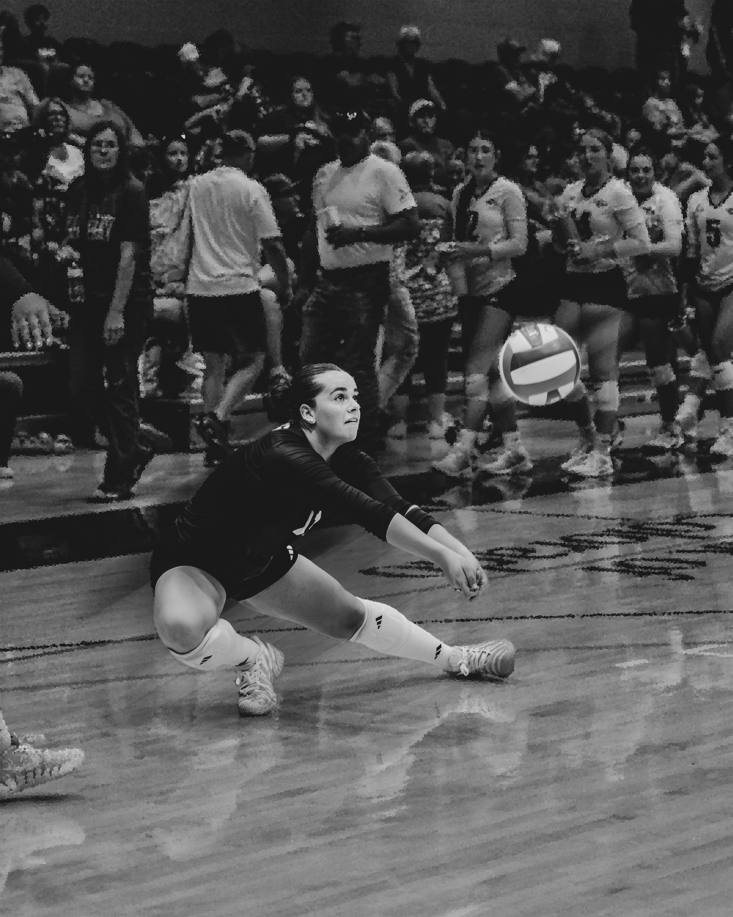 Female volleyball player dives low to dig a ball during a competitive indoor volleyball match.