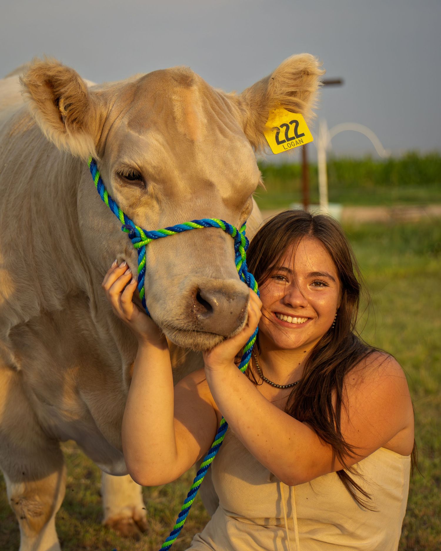 Smiling young woman posing cheek-to-cheek with a white show cow wearing a yellow ear tag numbered 222.