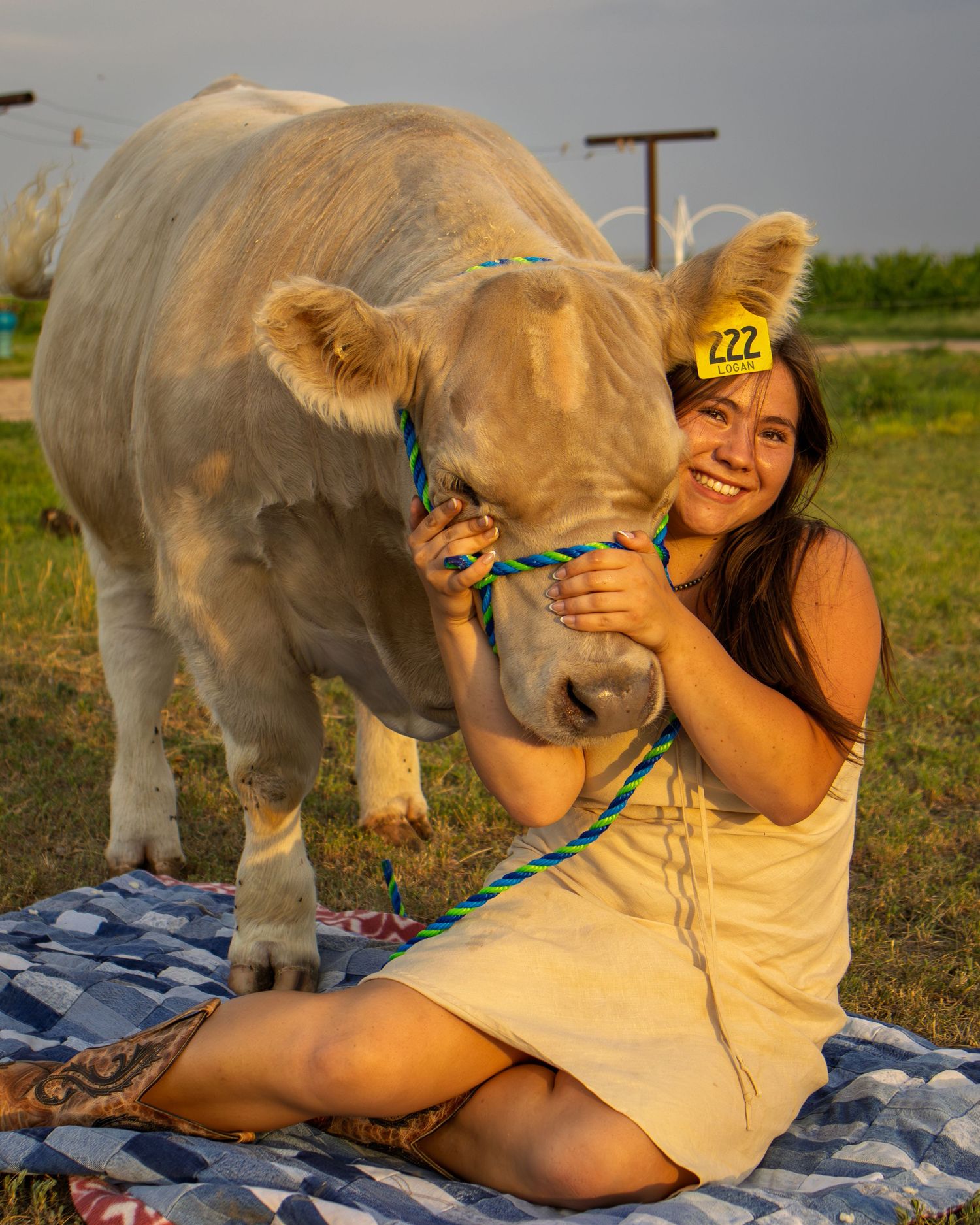 Smiling young woman sitting on a blanket beside her white show bull number 222.