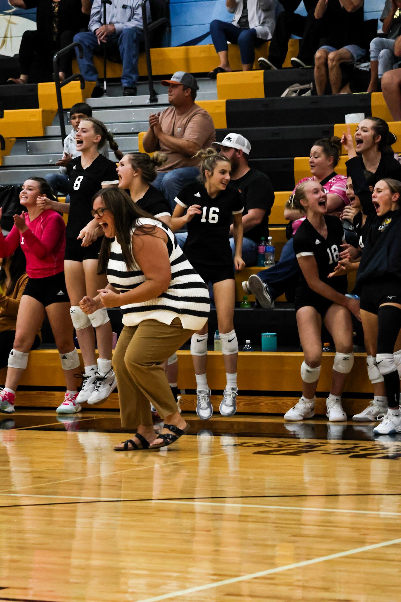 Excited volleyball team and coach cheering from the sideline bench during an indoor match.