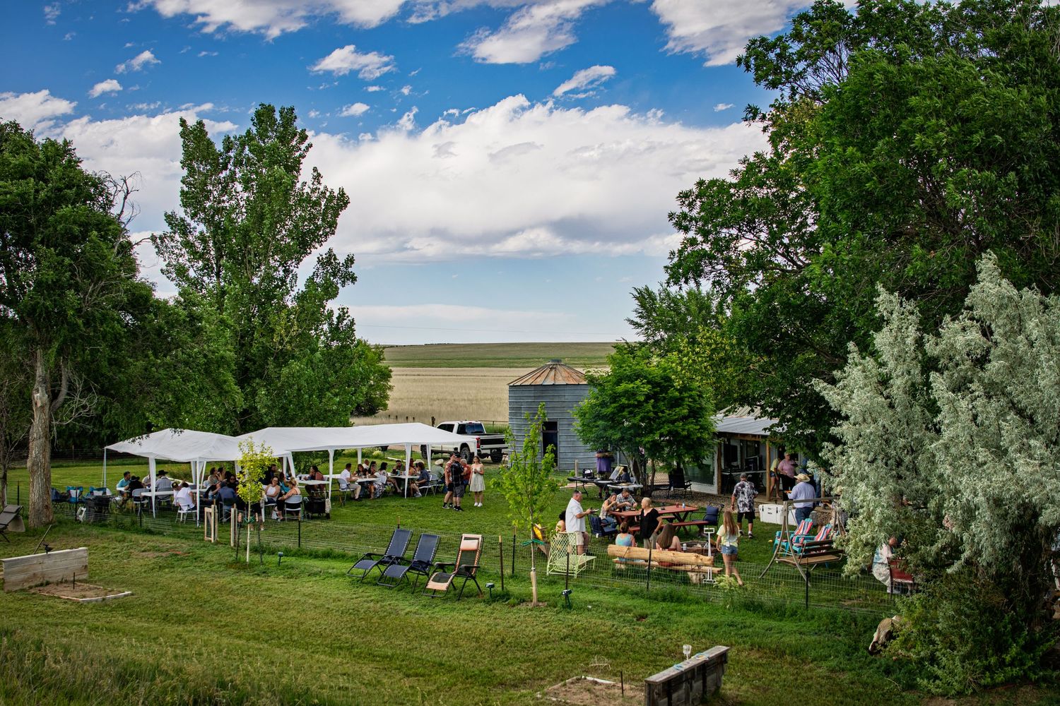 Outdoor gathering with white tents, guests, and rustic buildings surrounded by lush green trees under a blue sky.