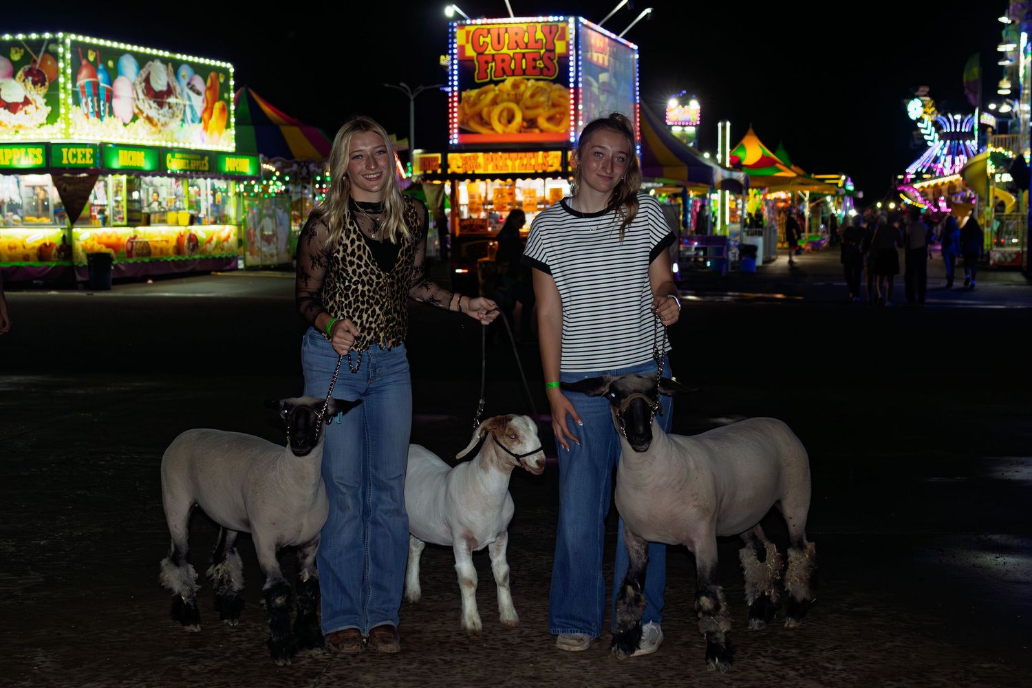 Two young women pose with three show lambs and a dog at a colorful county fair at night.