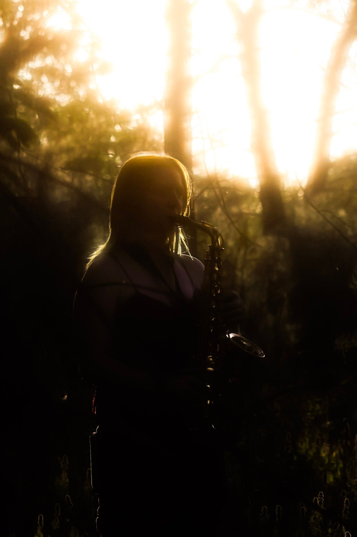 Silhouette of a female saxophonist standing in a misty forest with warm golden backlight glowing through trees.