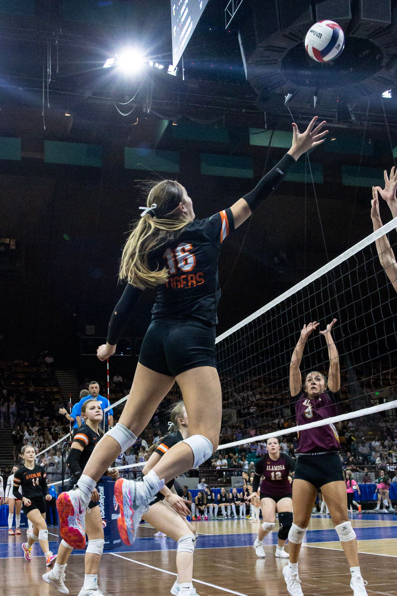 Volleyball player in Tigers jersey number 6 spikes ball over net in tournament.