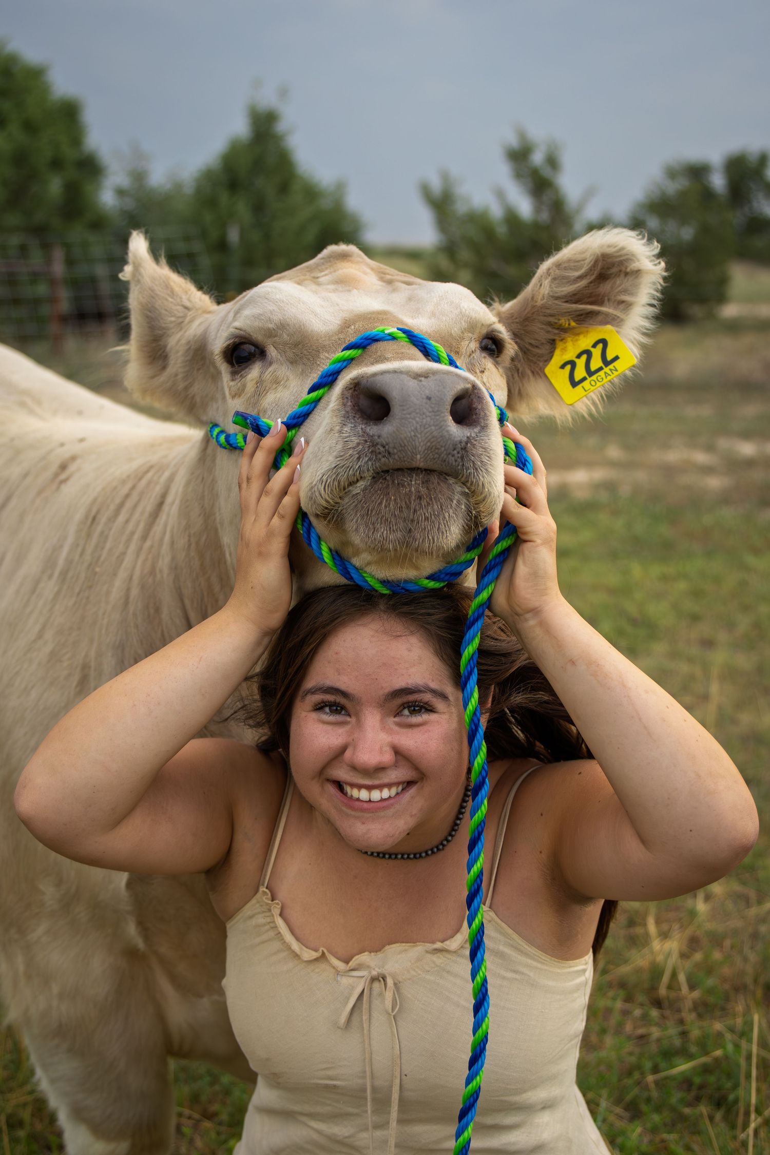 Laughing young woman holding a blue rope halter above her head with a white show cow numbered 222.