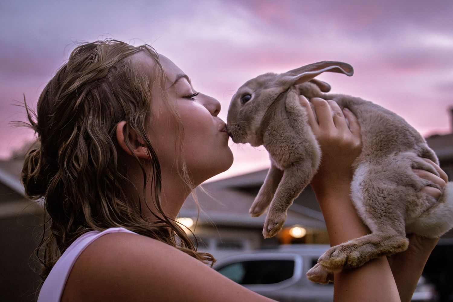 Girl kissing a gray rabbit she holds up against a pink sunset sky.