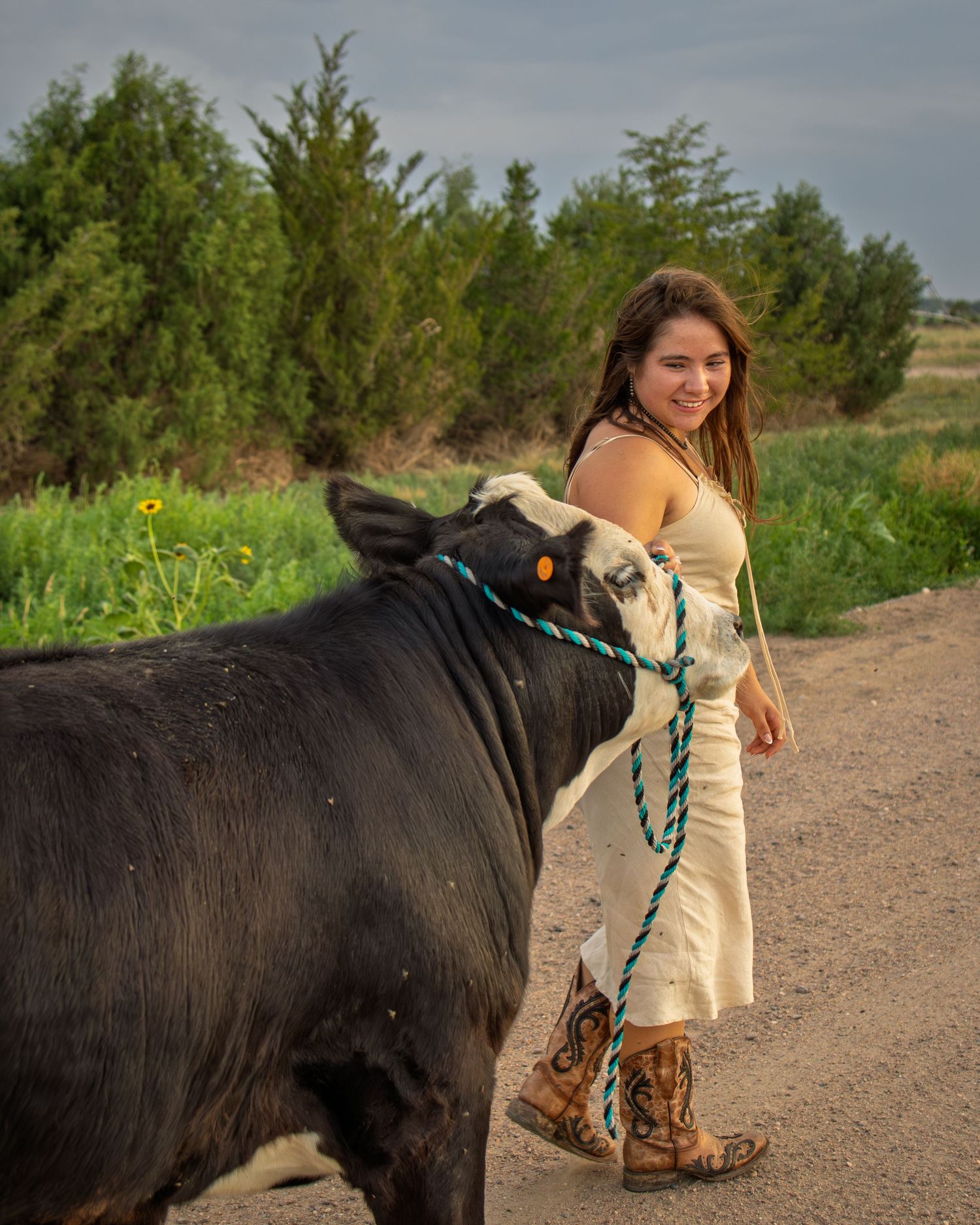 Smiling young woman in white dress and cowboy boots leading a black cow on a dirt farm road.