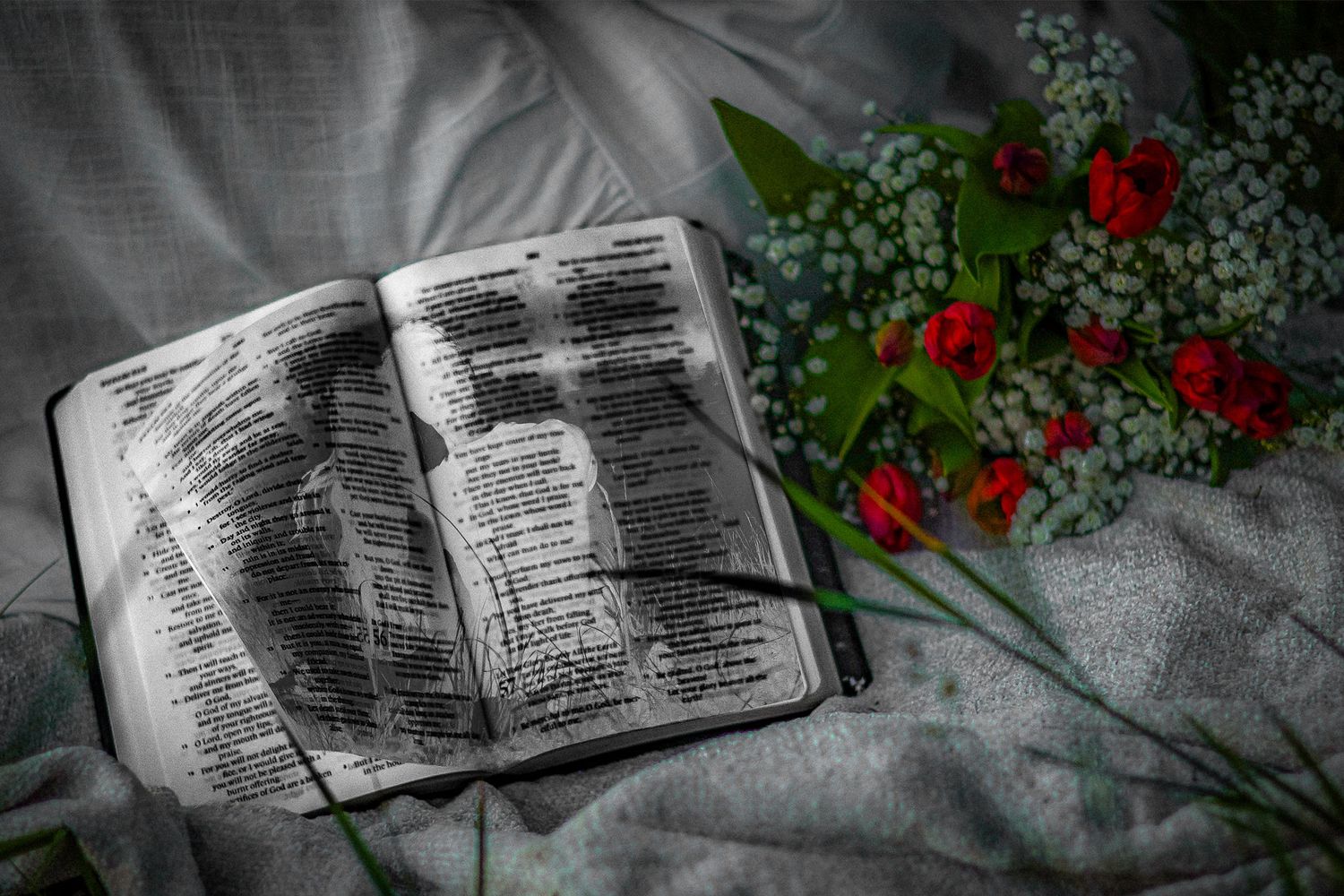 Open Bible with a pen beside red roses and white baby's breath flowers on gray fabric.