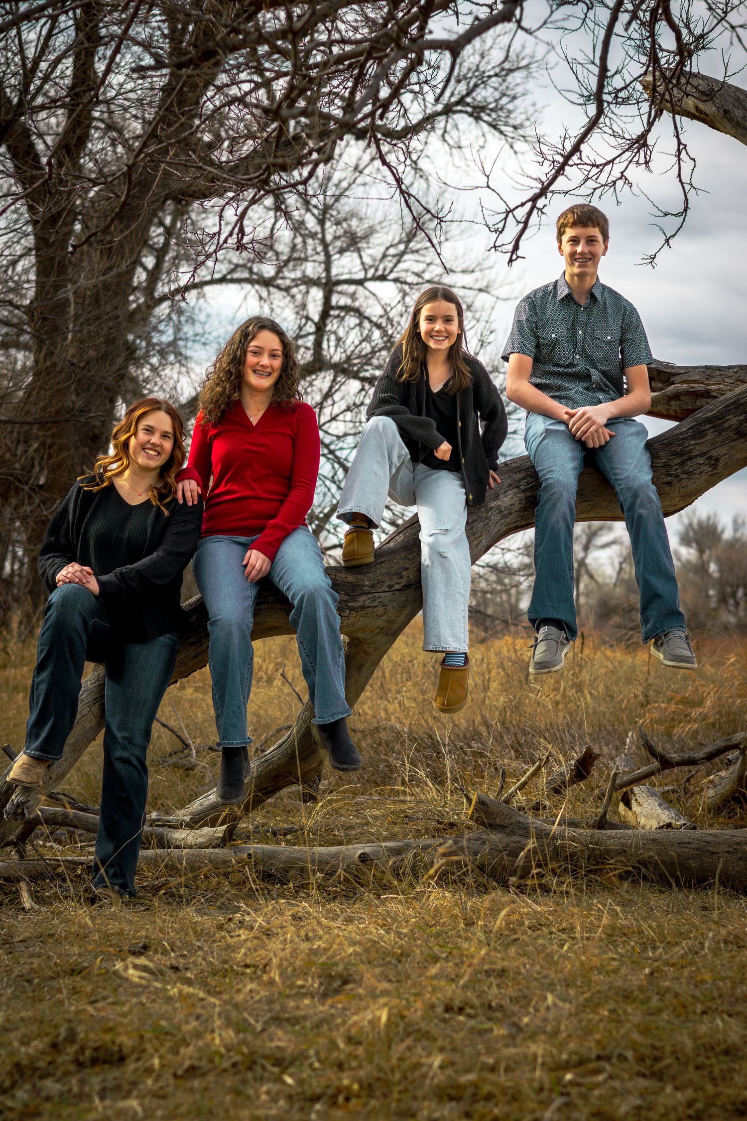 Four teenagers posing on fallen tree logs in a dry autumn outdoor setting.