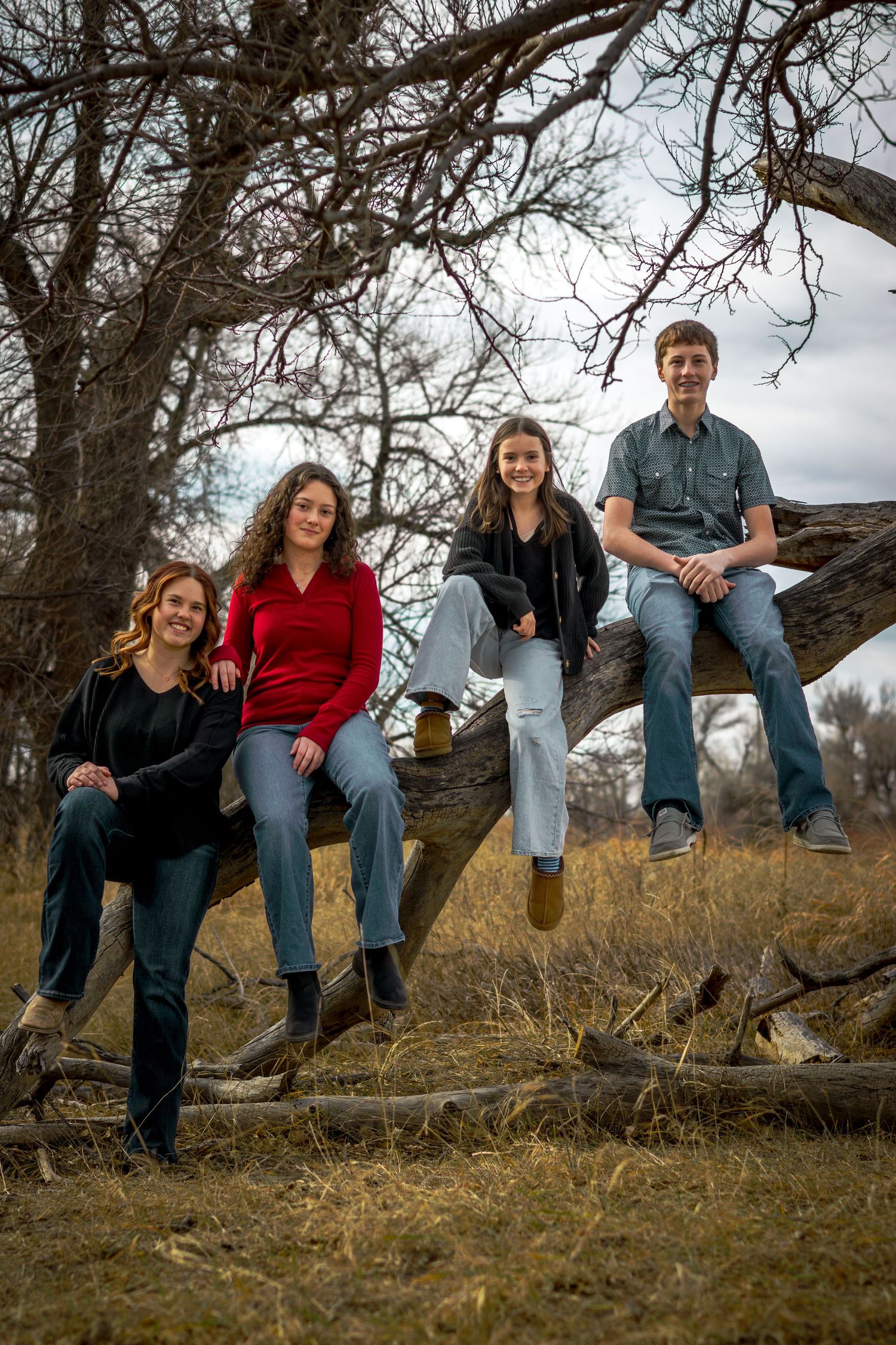 Four people posing on a fallen tree branch in a winter landscape with bare trees and dry grass.