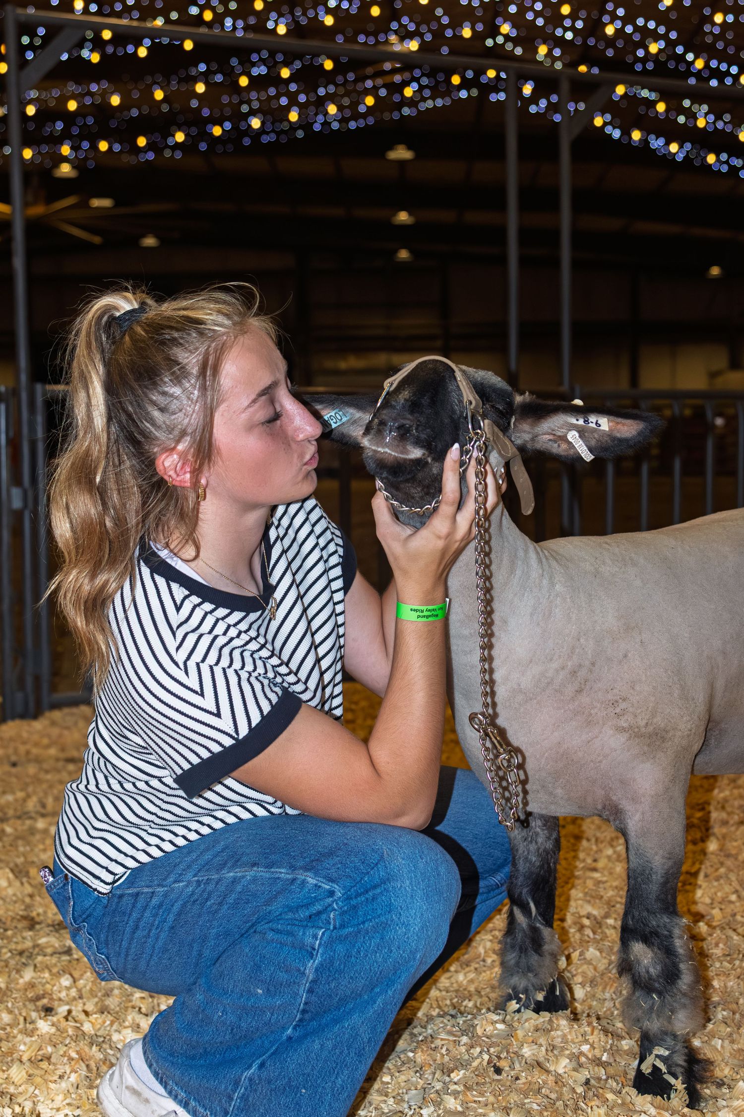 Young girl crouching to kiss a gray show lamb on a chain lead inside a decorated livestock barn.