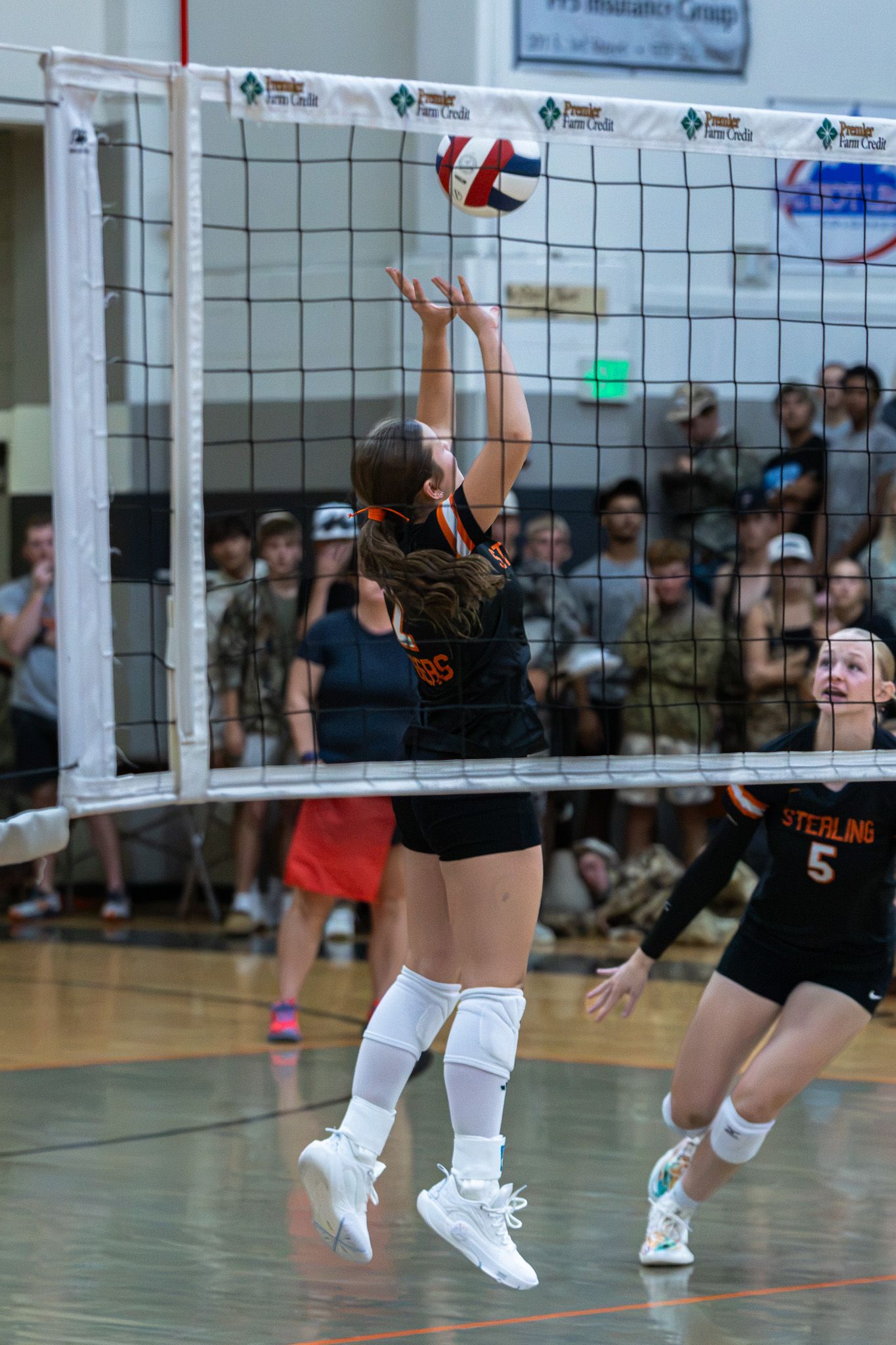 Female volleyball player jumps to set the ball at the net during a packed gym game.