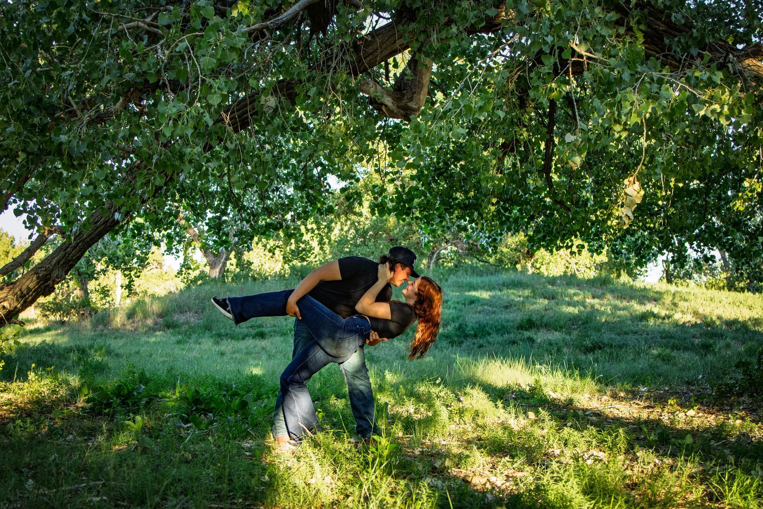 Couple sharing a romantic dip kiss under a large green tree in a sunny meadow.