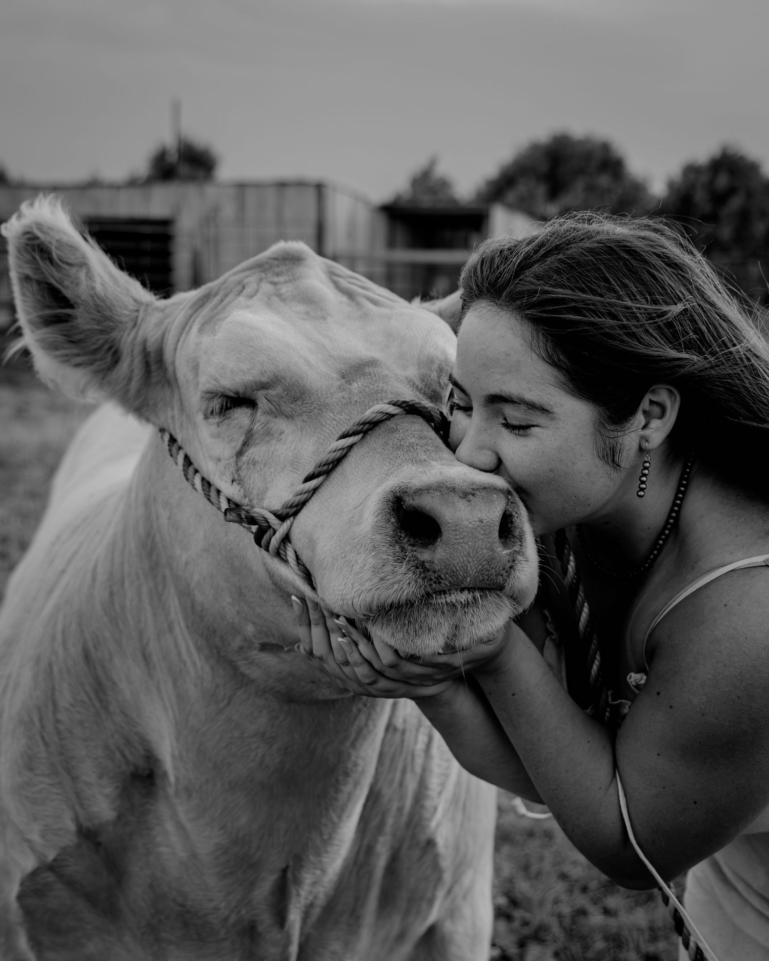 Black and white photo of a young woman kissing a white cow on the cheek at a farm.