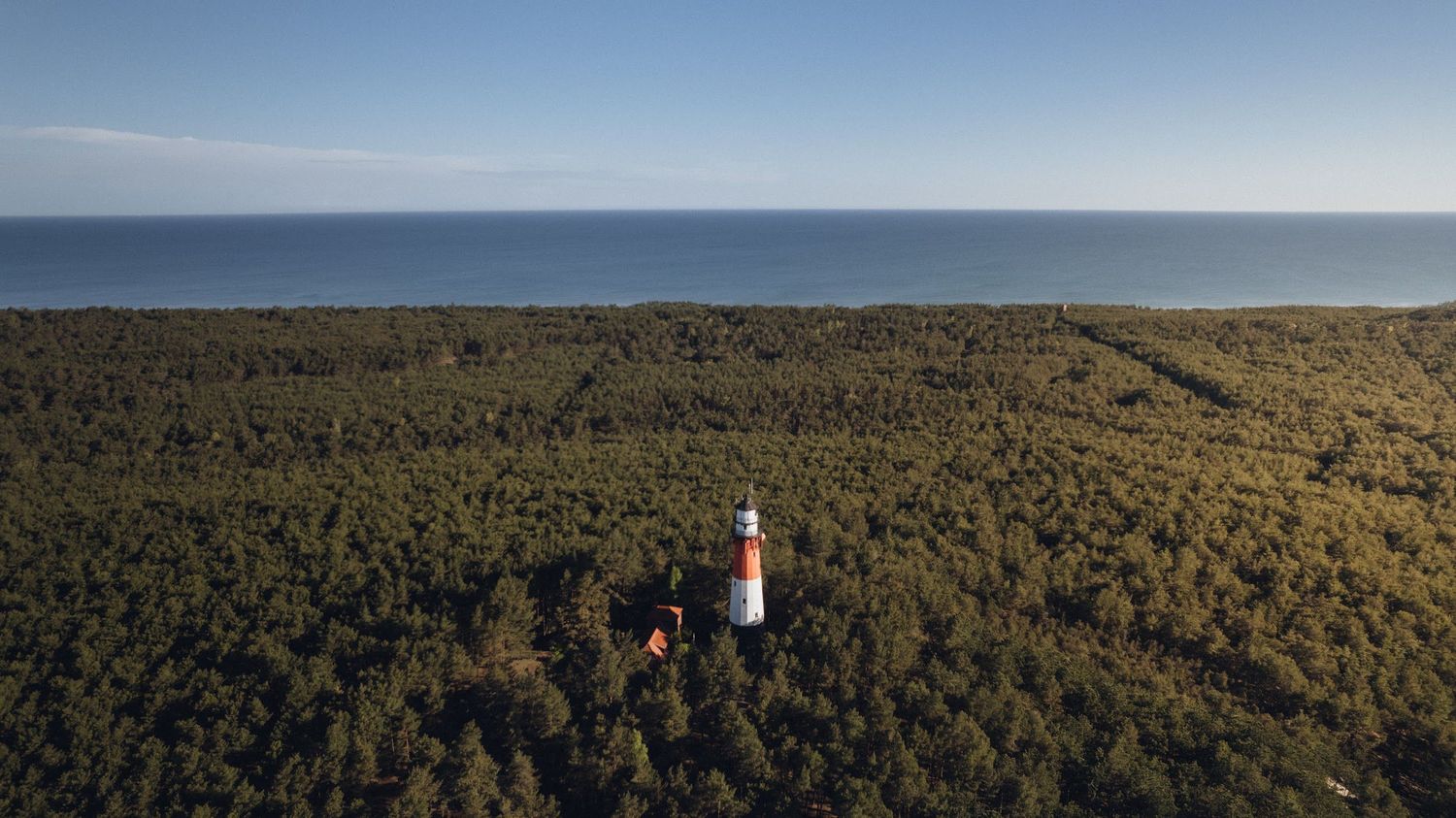 Aerial view of a red and white lighthouse surrounded by dense green forest near a vast blue ocean.