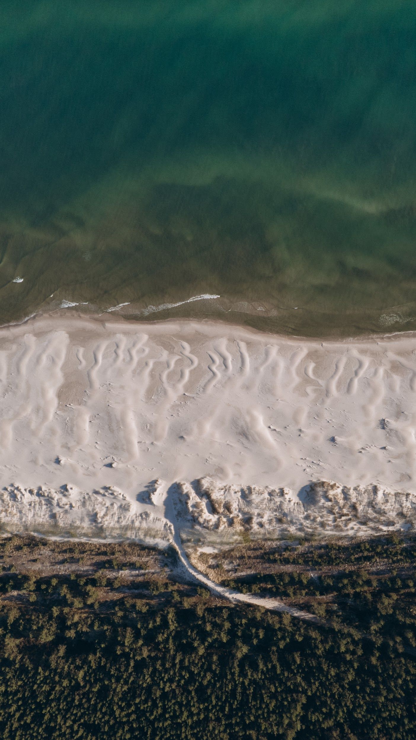 Aerial drone view of sandy beach shoreline with turquoise ocean waves meeting white sand and coastal forest.