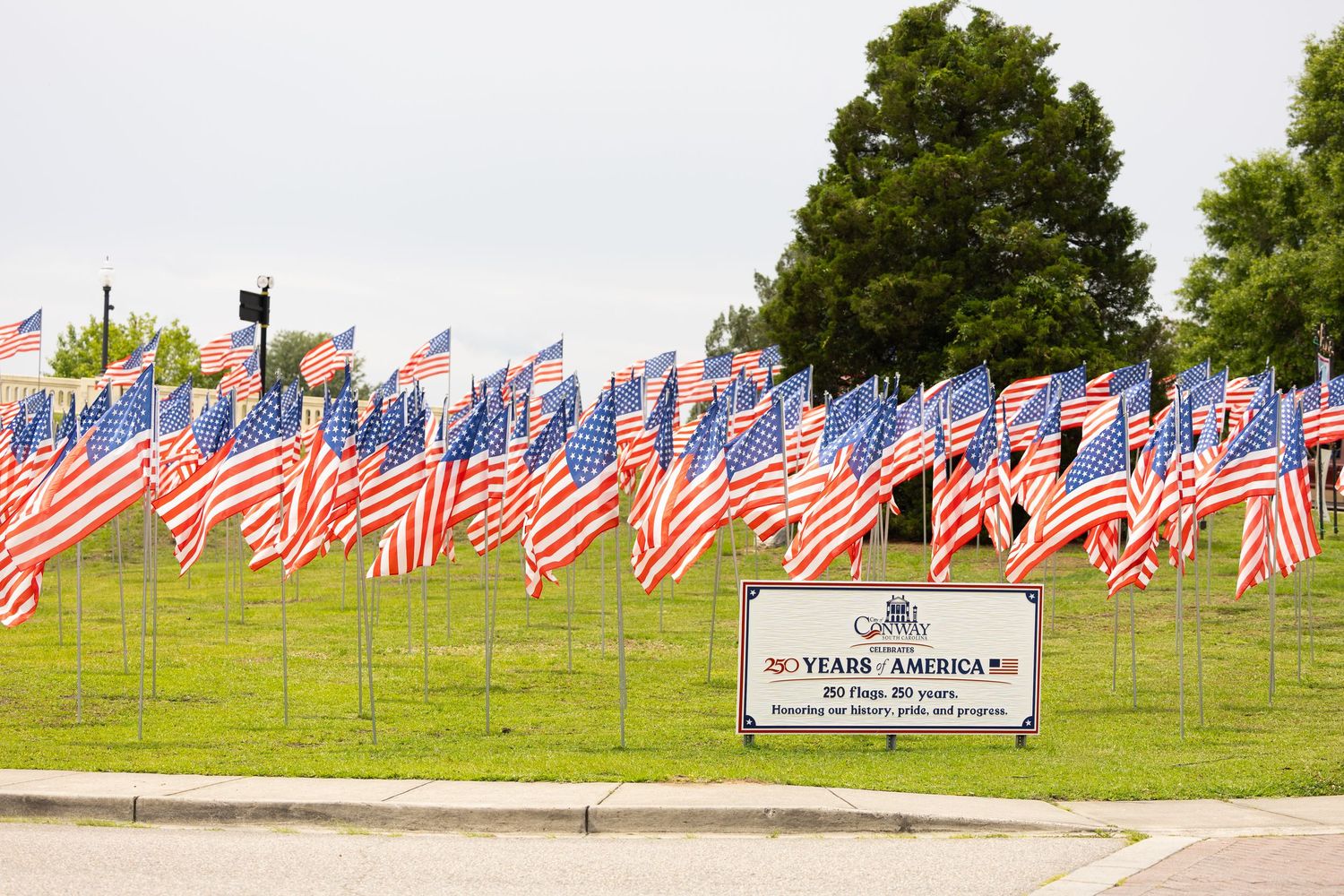 Rows of American flags displayed on green grass near a commemorative sign celebrating 20 years of America.