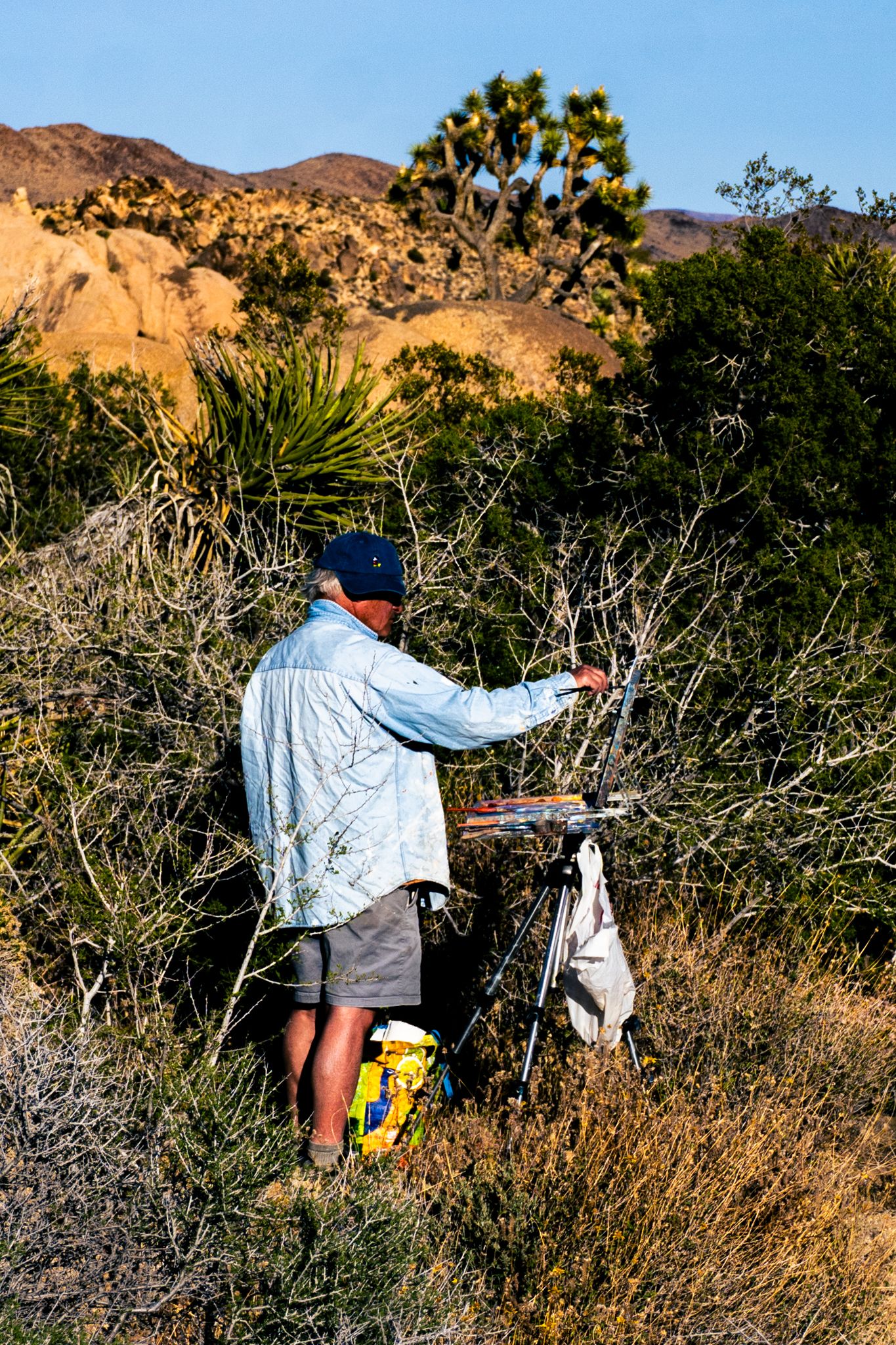 Artist painting en plein air in Joshua Tree desert landscape with rocky hills and Joshua trees in background.