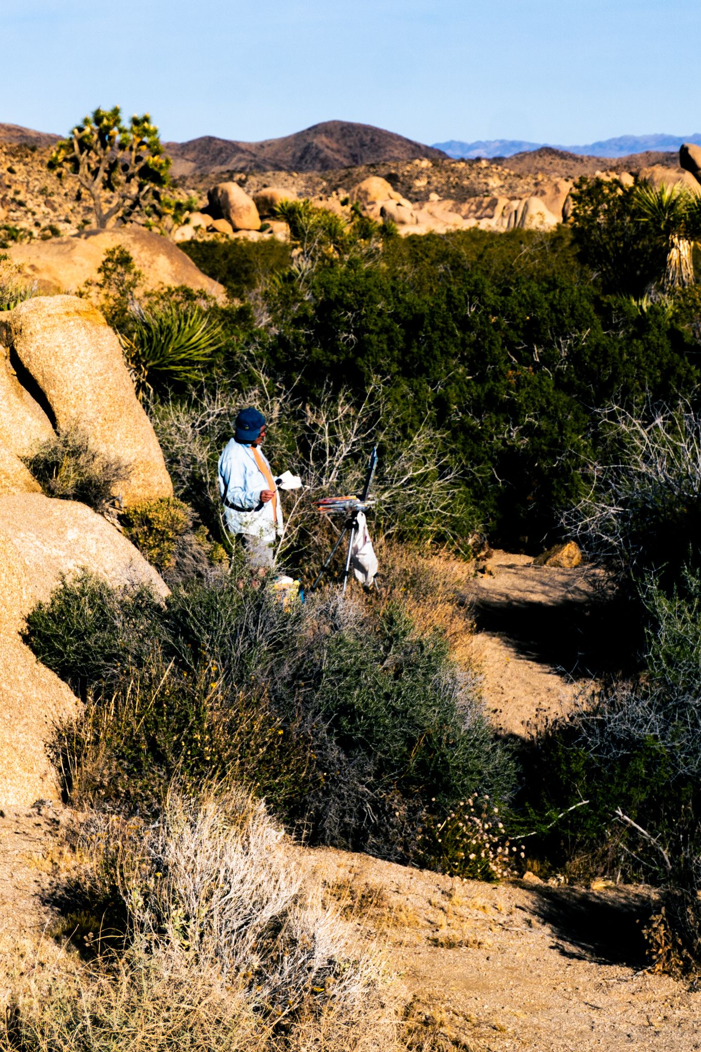 Hiker with art easel on a desert trail surrounded by Joshua trees and granite boulders in a arid landscape.