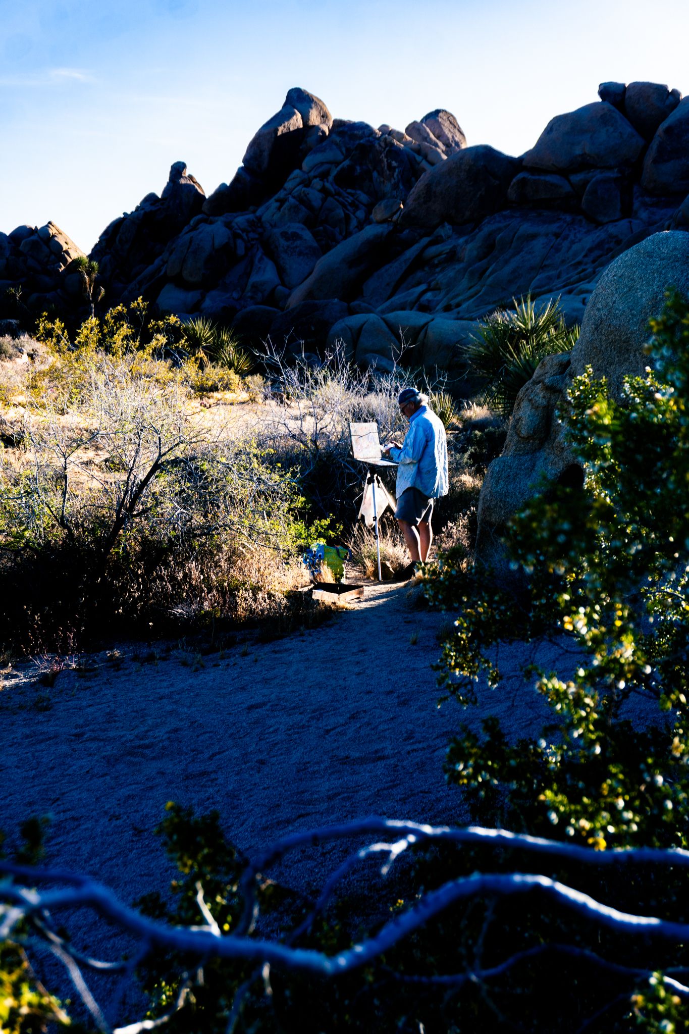 Artist painting on easel amid desert boulders and shrubs in Joshua Tree National Park on a sunny day.