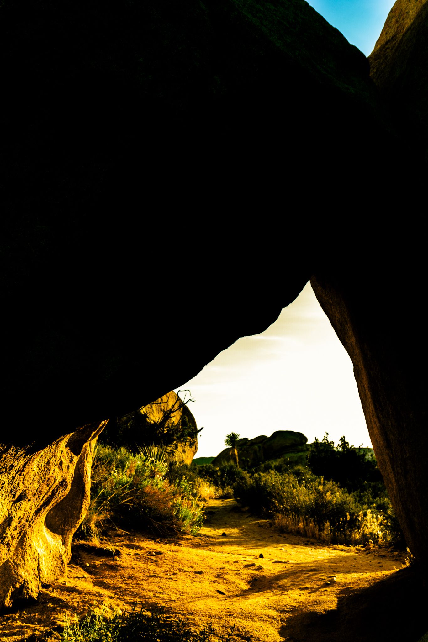 Sunlit desert landscape viewed through a dramatic rock arch, with golden sandy ground and sparse vegetation below a bright sky.