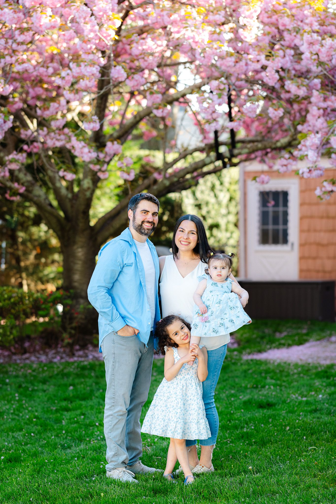 Family of four posing outdoors under blooming pink cherry blossom tree on green lawn in spring.