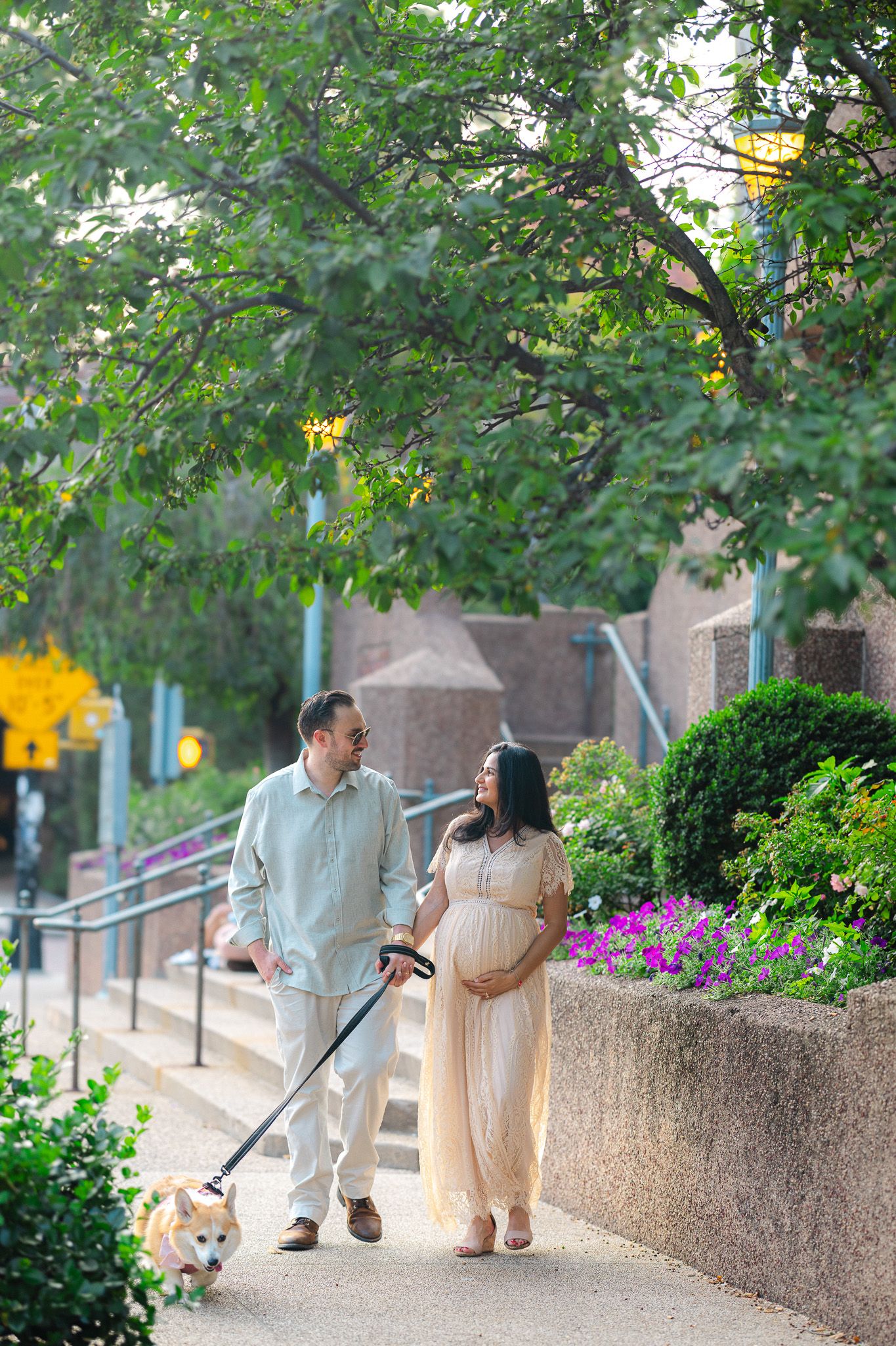 Pregnant couple walking their Corgi dog along a flower-lined urban path surrounded by lush green trees.
