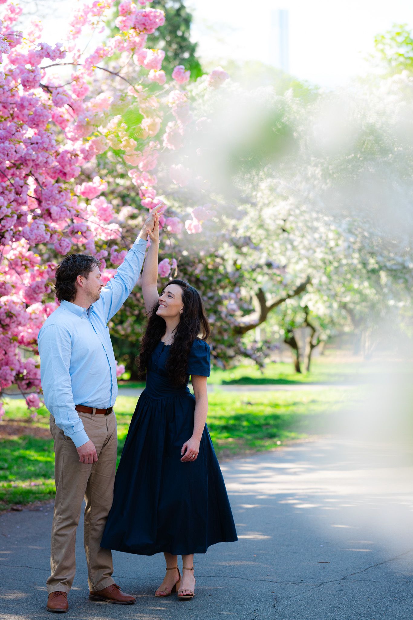 Couple admiring pink cherry blossoms in bloom during a romantic spring park engagement session.