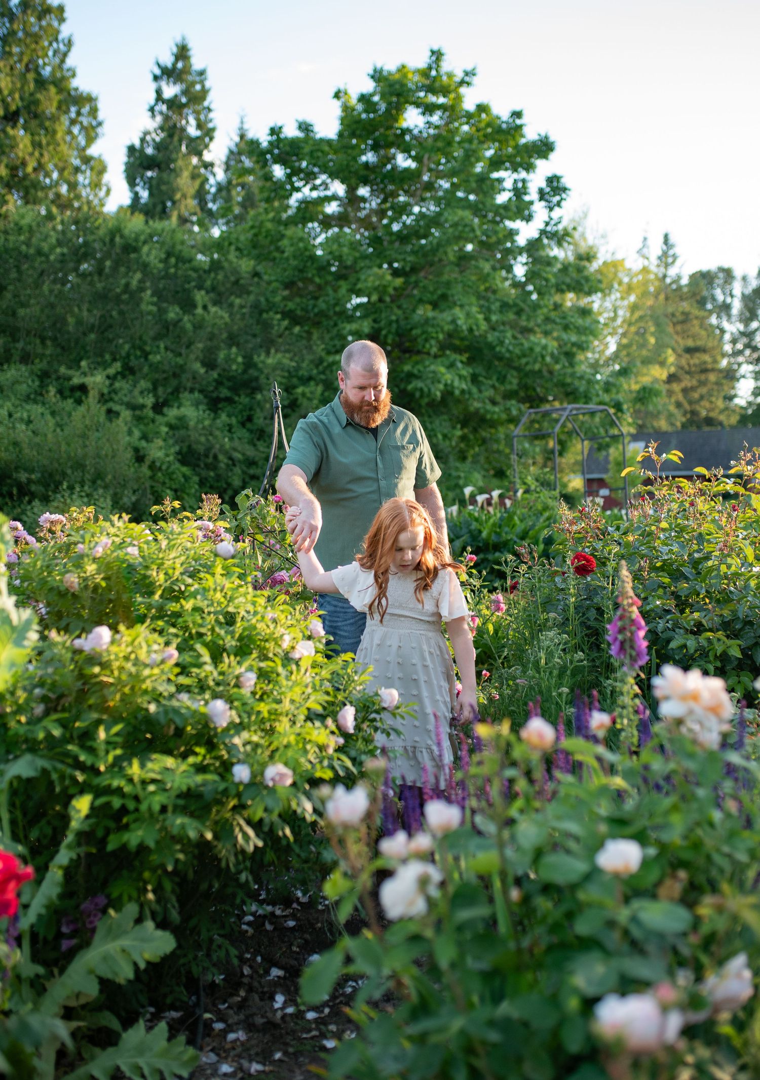 A father and young red-haired girl walk hand in hand through a lush, blooming garden with roses and tall flowers.