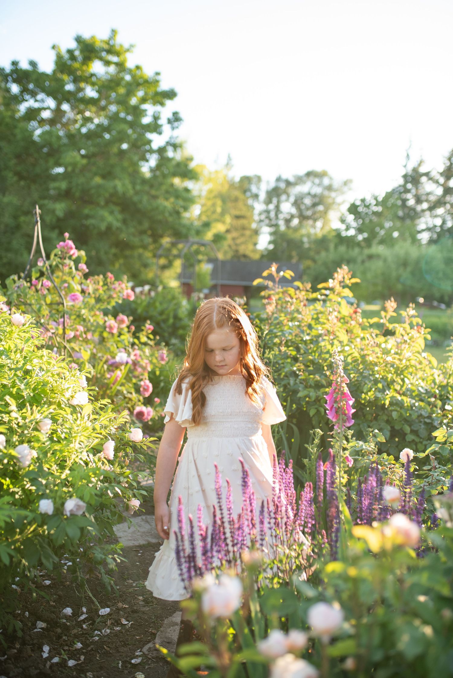 Young girl in white dress walking through a lush garden path surrounded by pink roses and purple flowers in golden light.