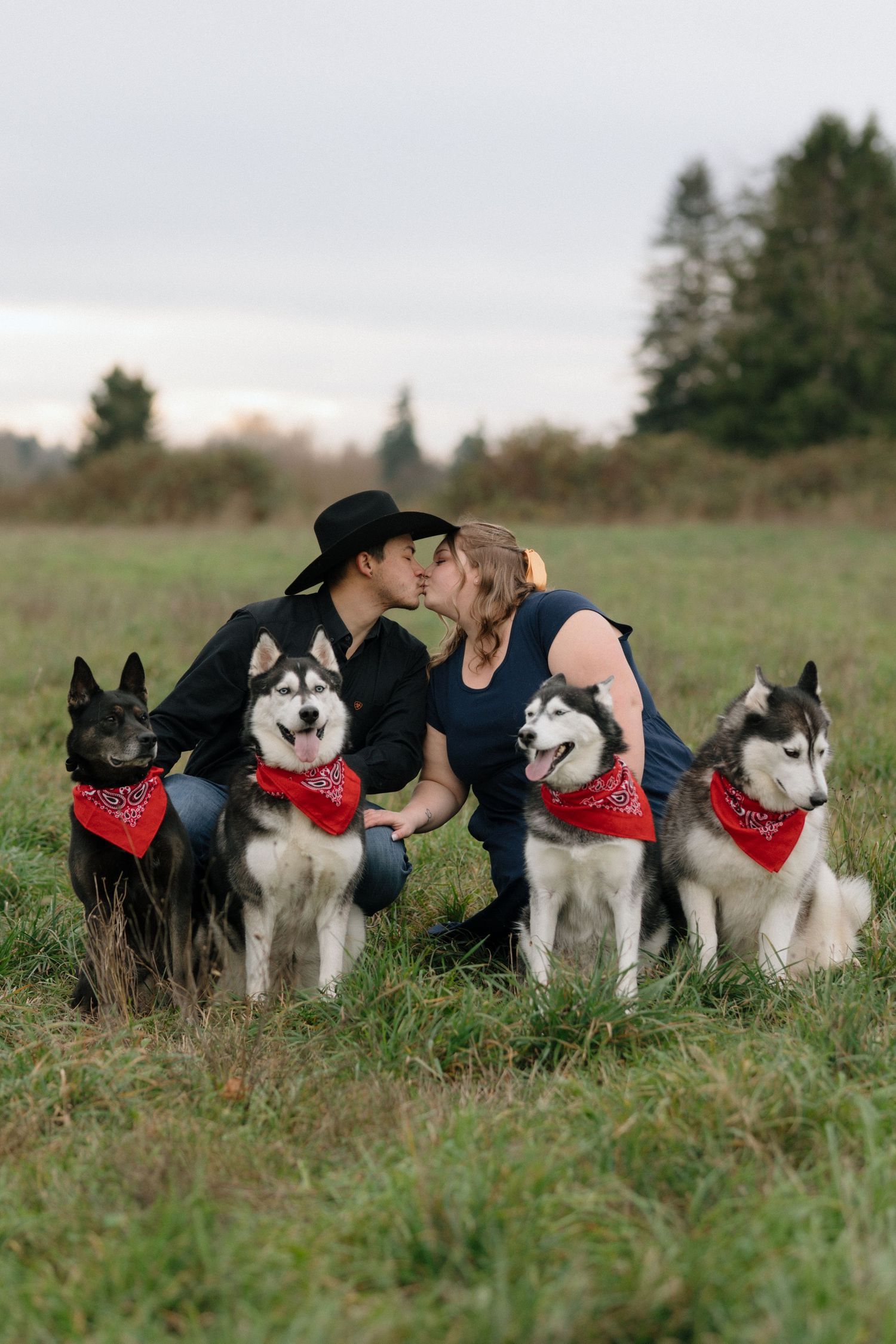 Couple kissing with three Husky dogs wearing red bandanas in a grassy field.