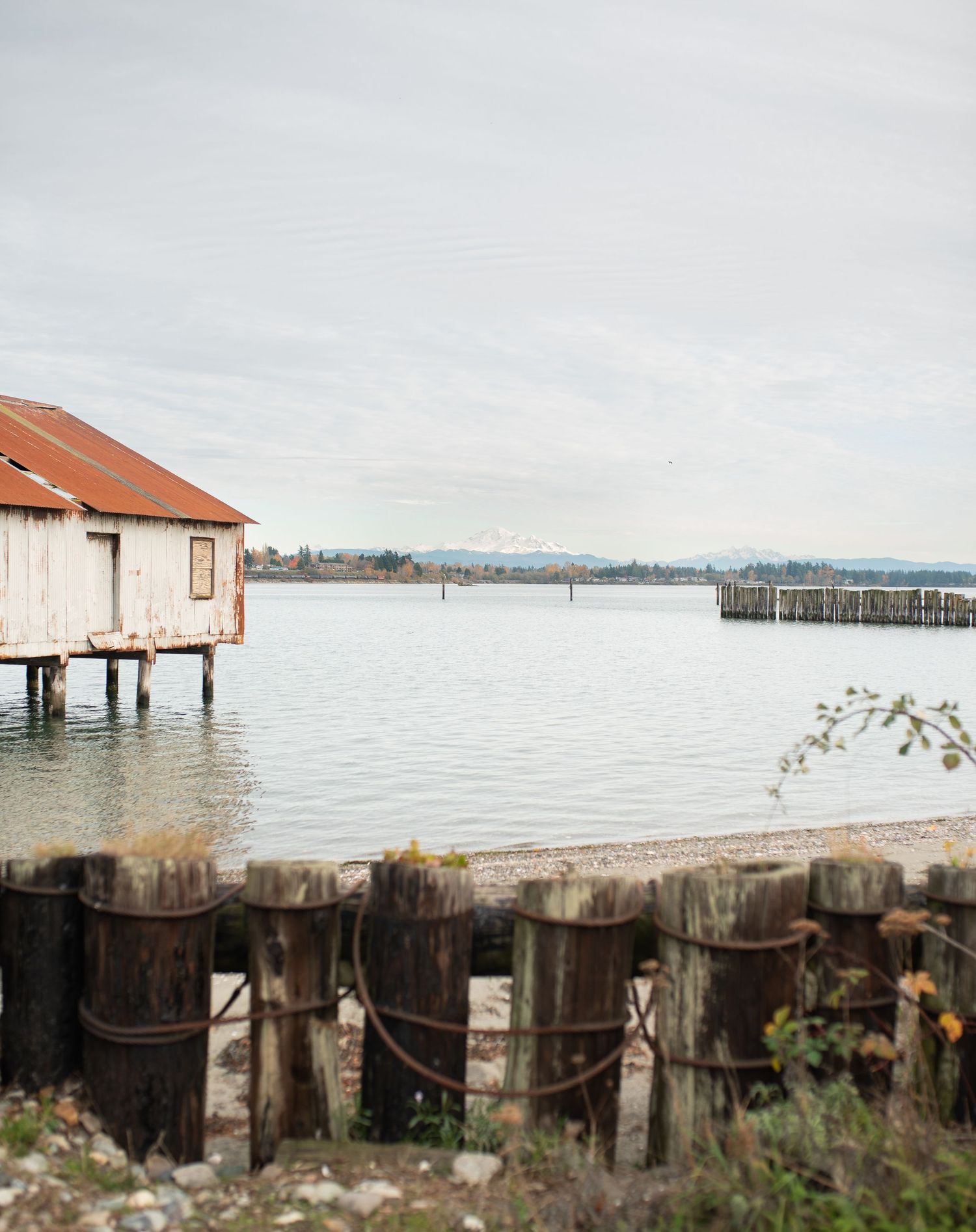Weathered wooden pilings and a rustic boathouse on stilts overlook a calm Pacific Northwest waterway under overcast skies.