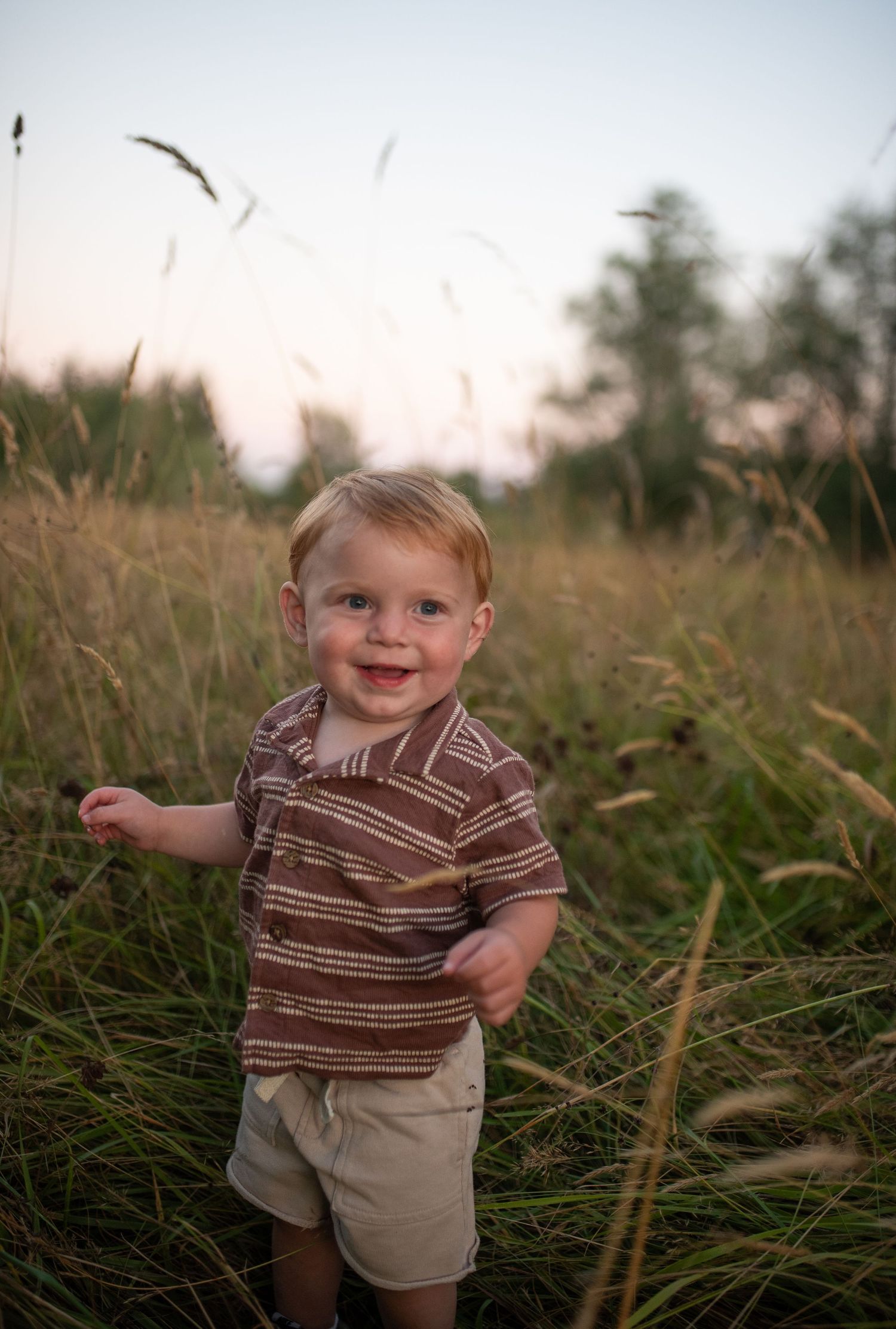 Smiling toddler boy in striped shirt and khaki shorts standing in tall golden grass field at sunset.