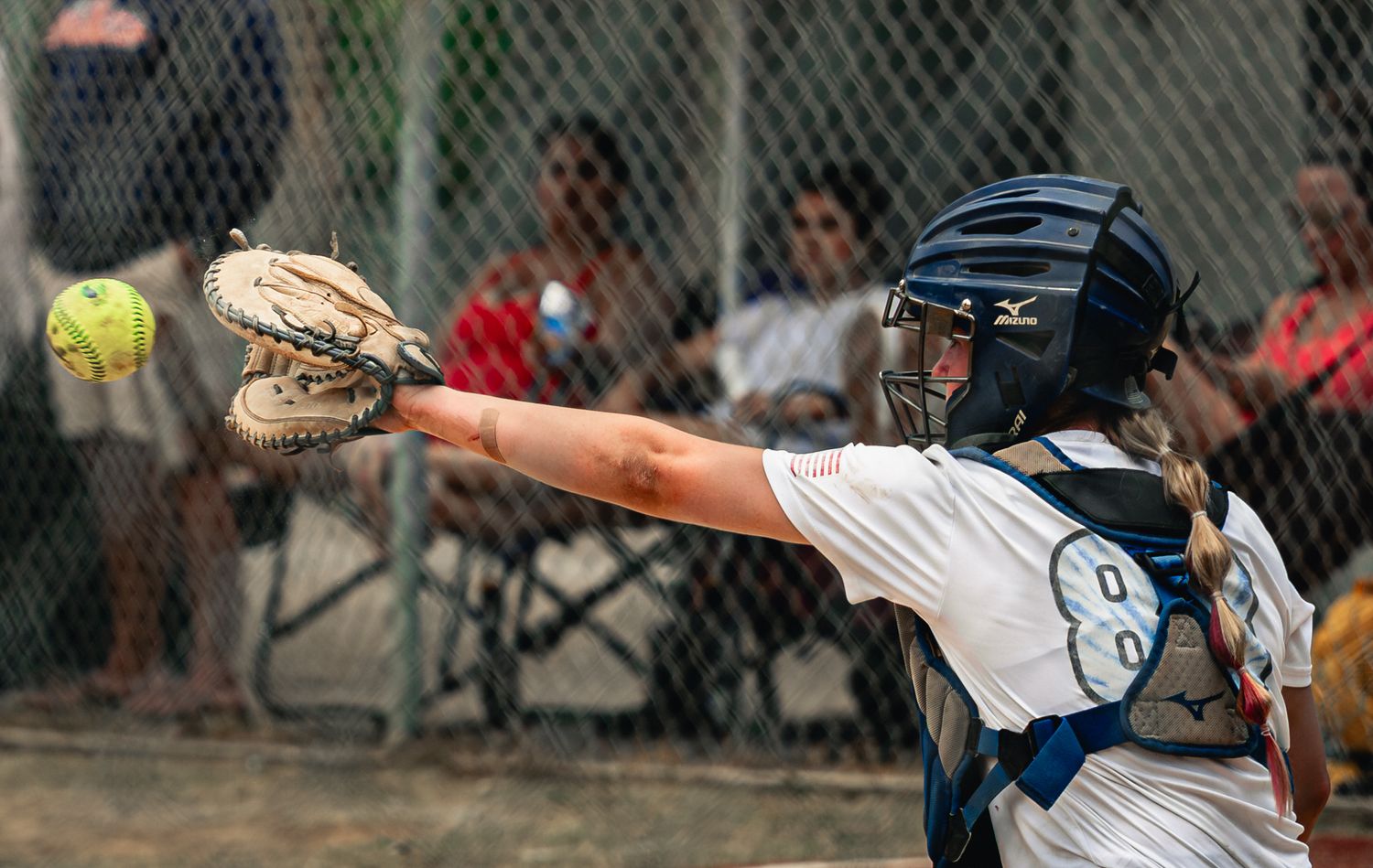Fl Stealth Softball