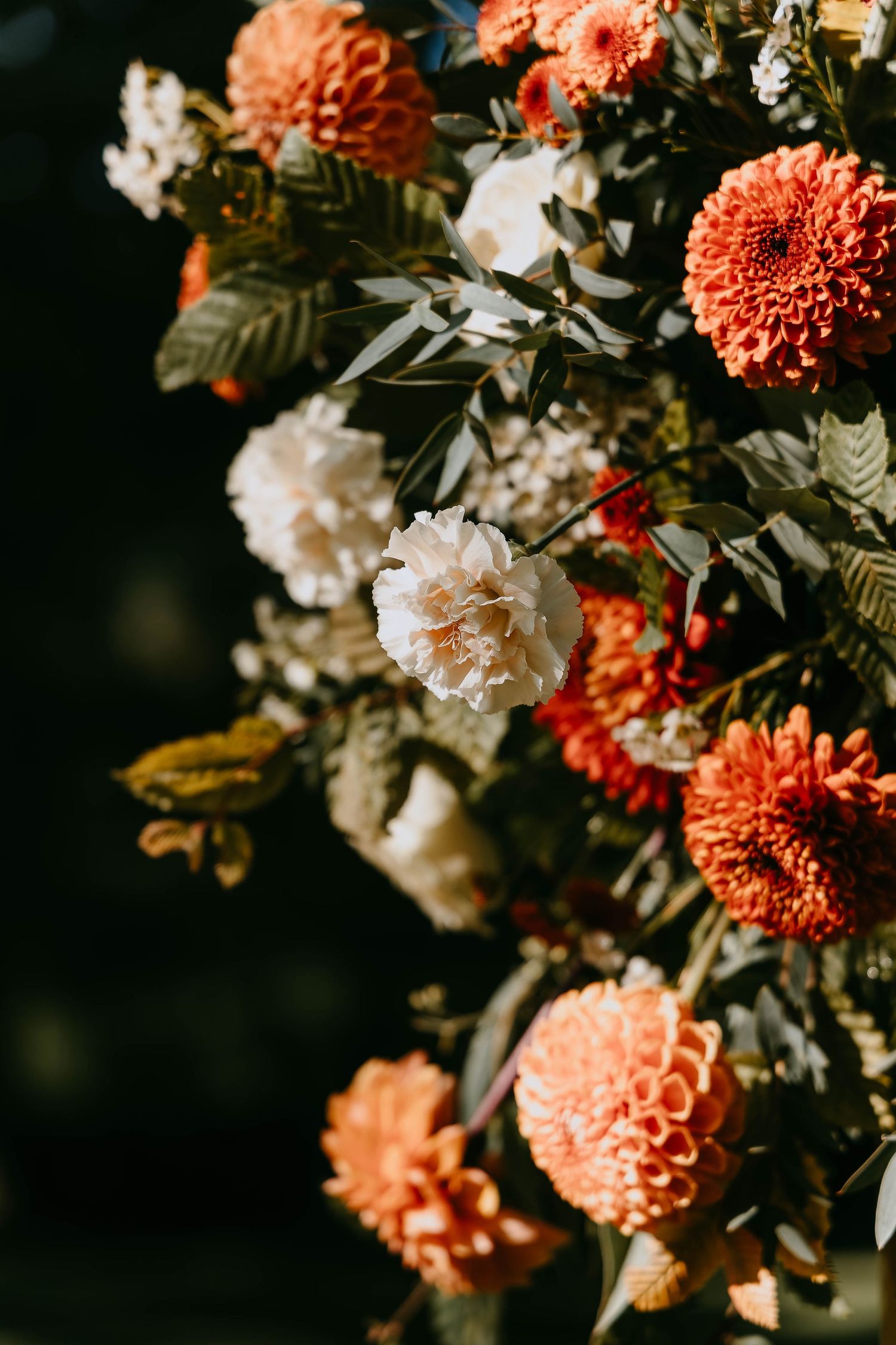 Close-up of a vibrant floral arrangement with orange dahlias and white flowers against dark background.
