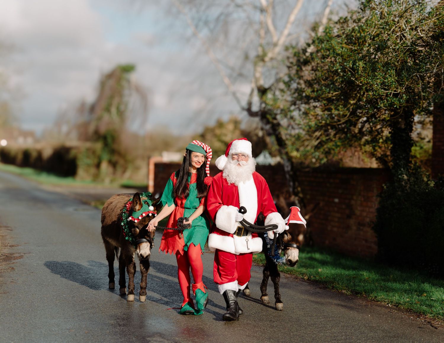 Santa Claus and an elf walk a reindeer and dog down a quiet village road in festive Christmas costumes.