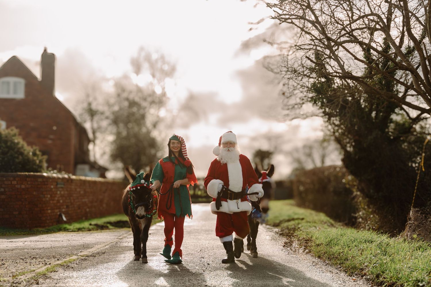 Santa Claus and an elf walk a donkey down a rural country lane decorated for Christmas.