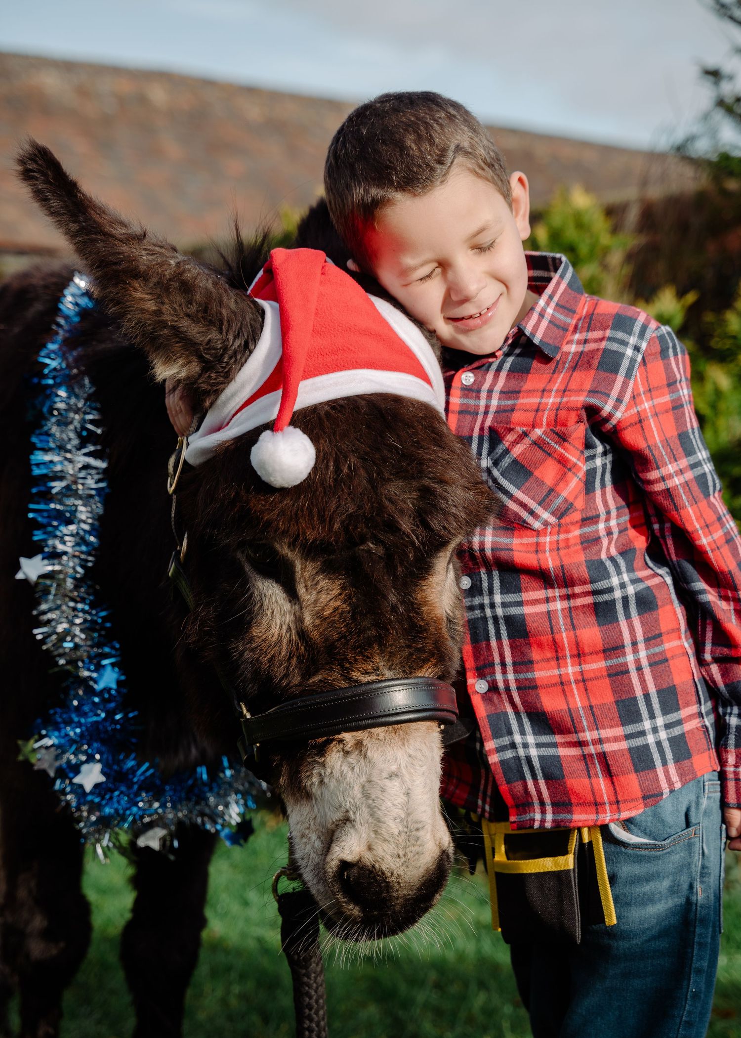 A smiling boy in plaid hugs a donkey wearing a Santa hat and blue tinsel garland outdoors.