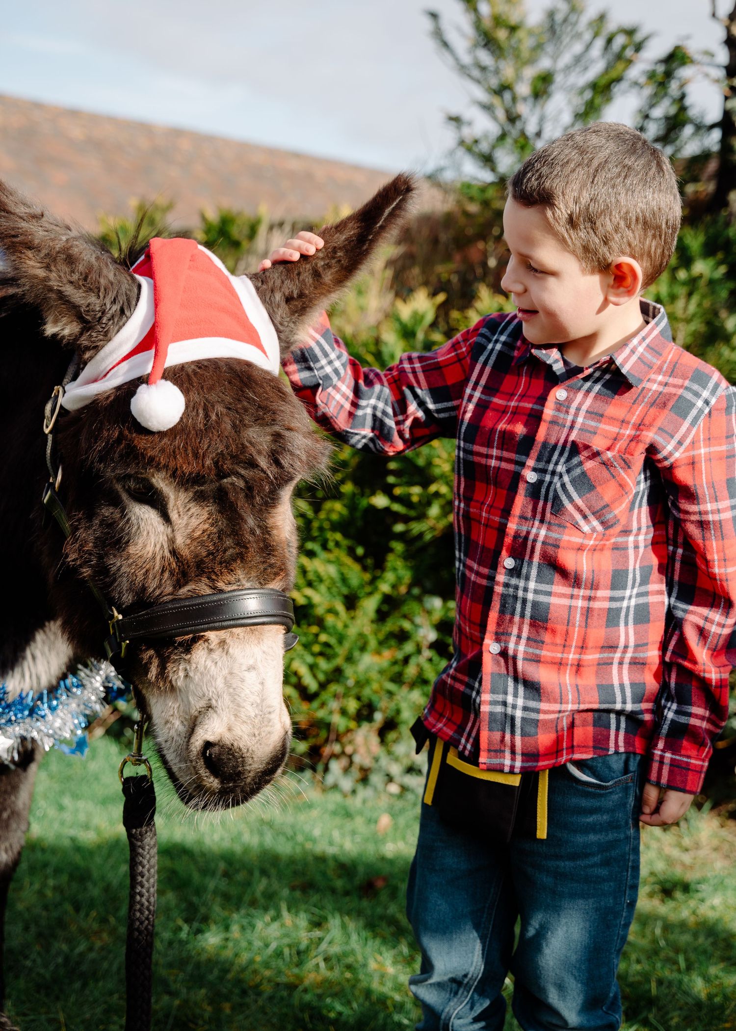 A young boy in plaid shirt pets a donkey wearing a Santa hat outdoors during Christmas season.
