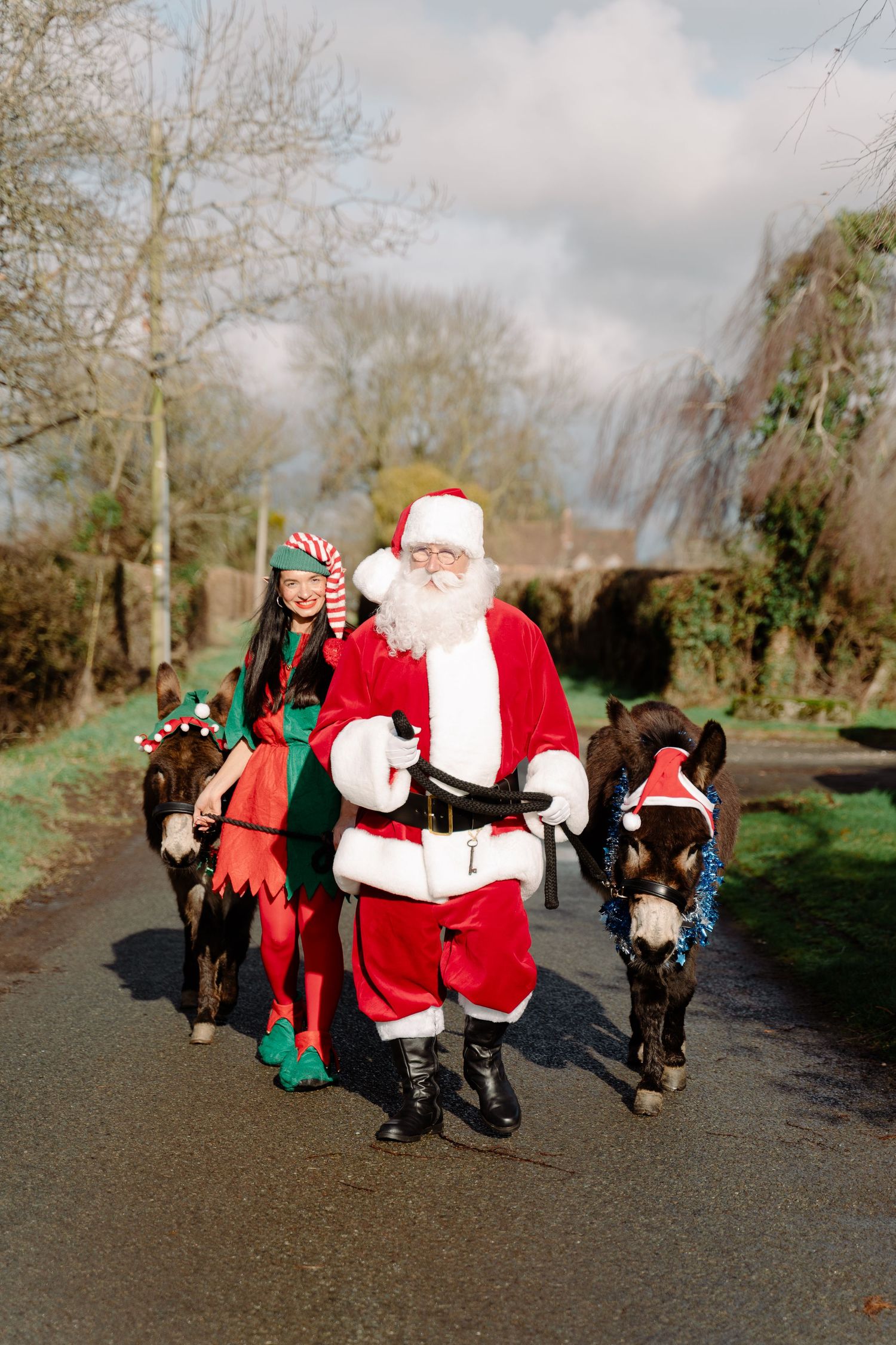 Santa Claus and an elf walk with two donkeys wearing festive hats along a sunny rural road at Christmas.