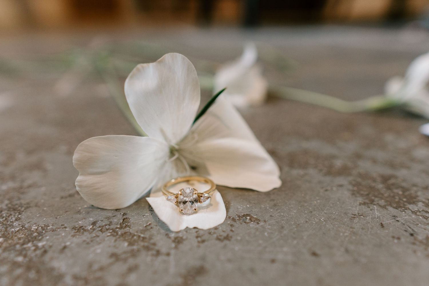 Gold diamond engagement ring resting on white flower petals on a stone surface.