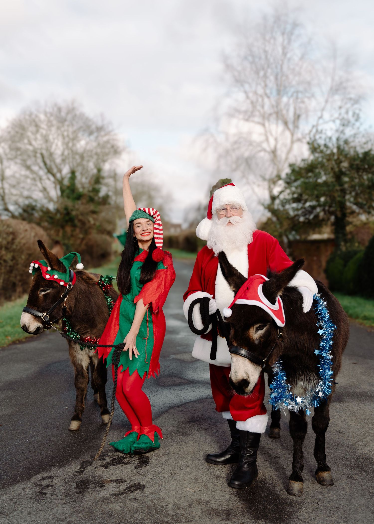 Santa Claus and elf pose with two decorated donkeys on a rural road in festive Christmas costumes.