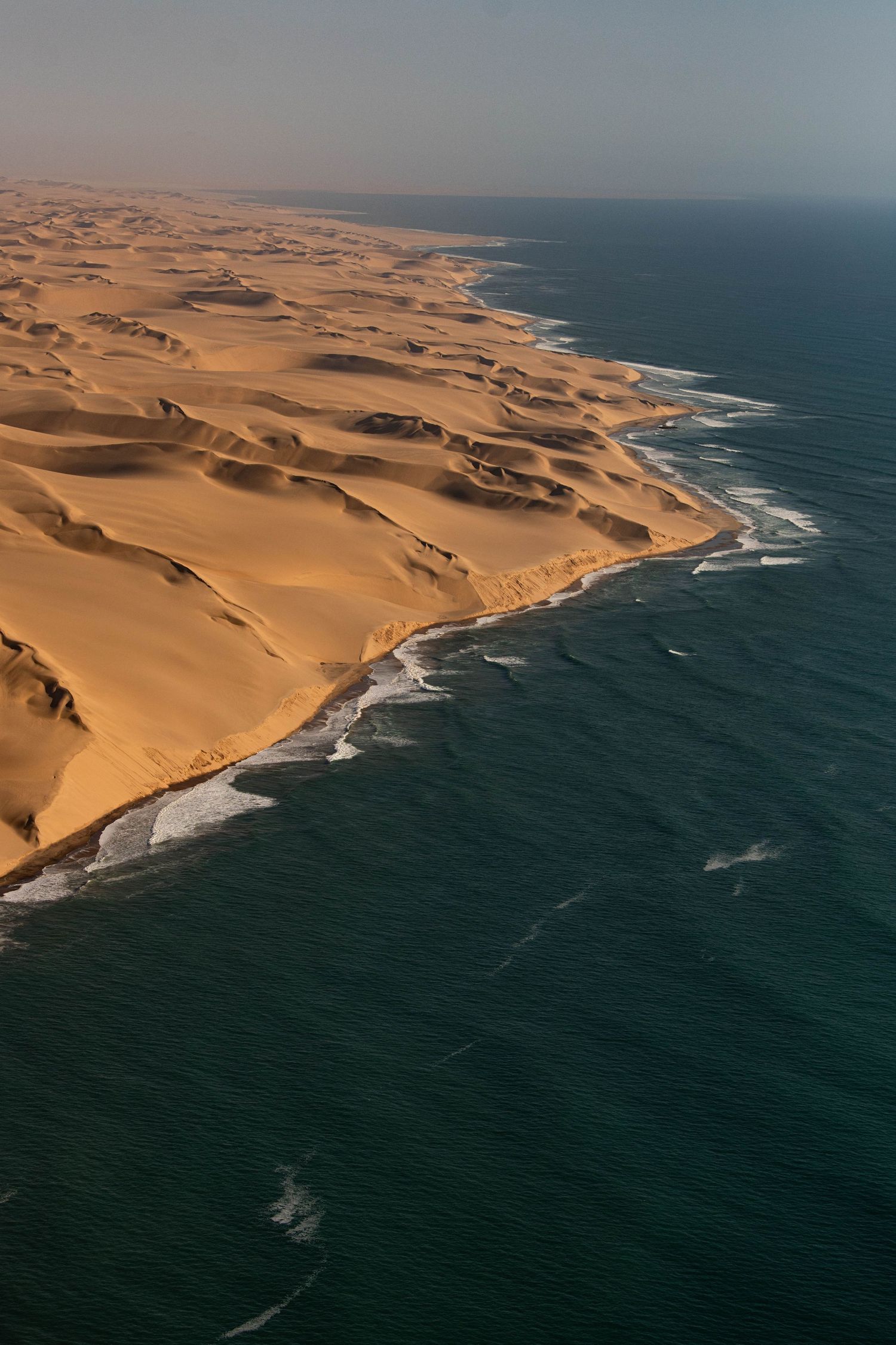 Aerial view of vast Namib Desert sand dunes meeting the Atlantic Ocean coastline in Namibia.