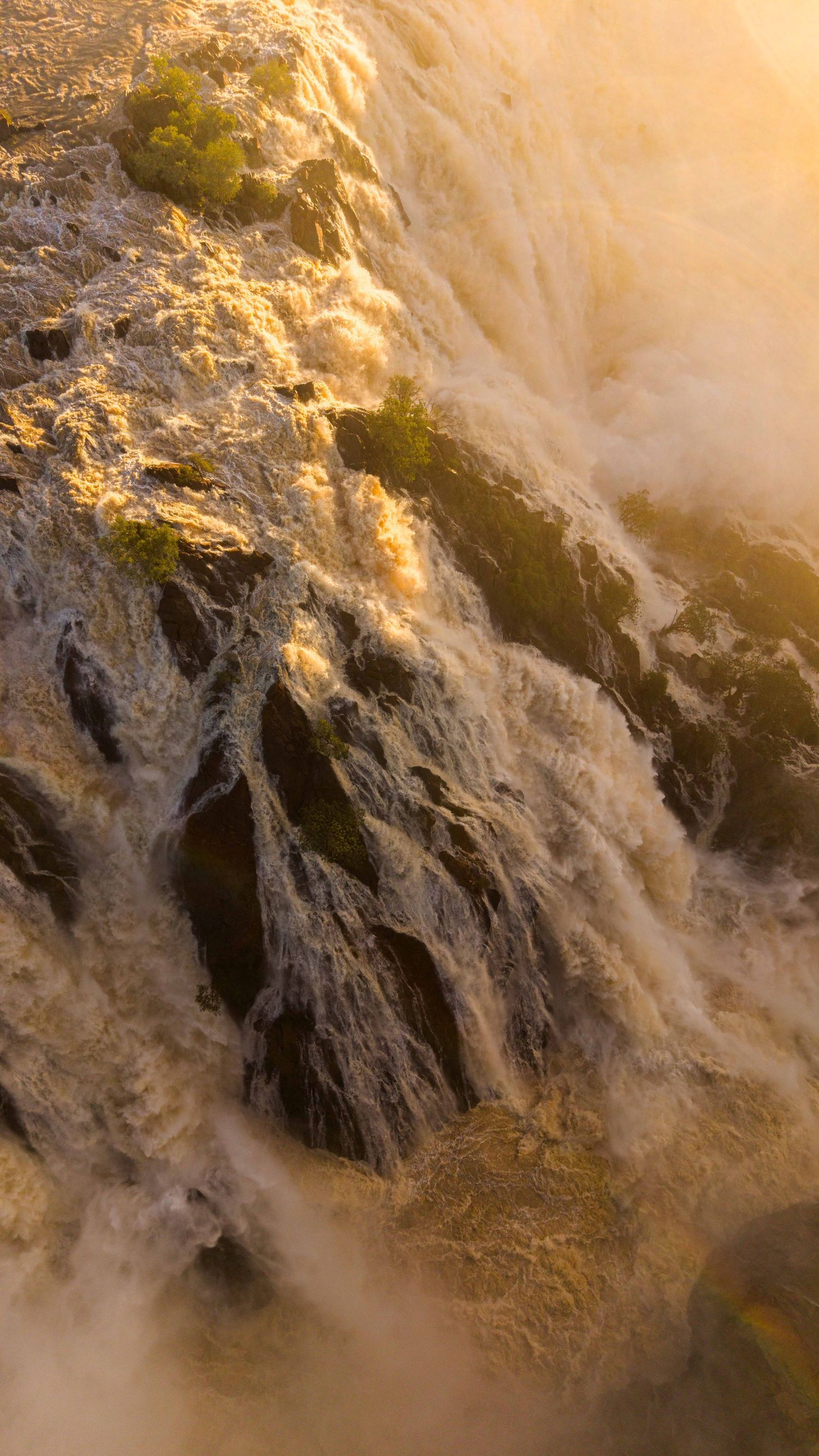 Golden sunlight illuminating the rushing white water cascading over moss-covered rocks at Epupa Falls, Namibia.