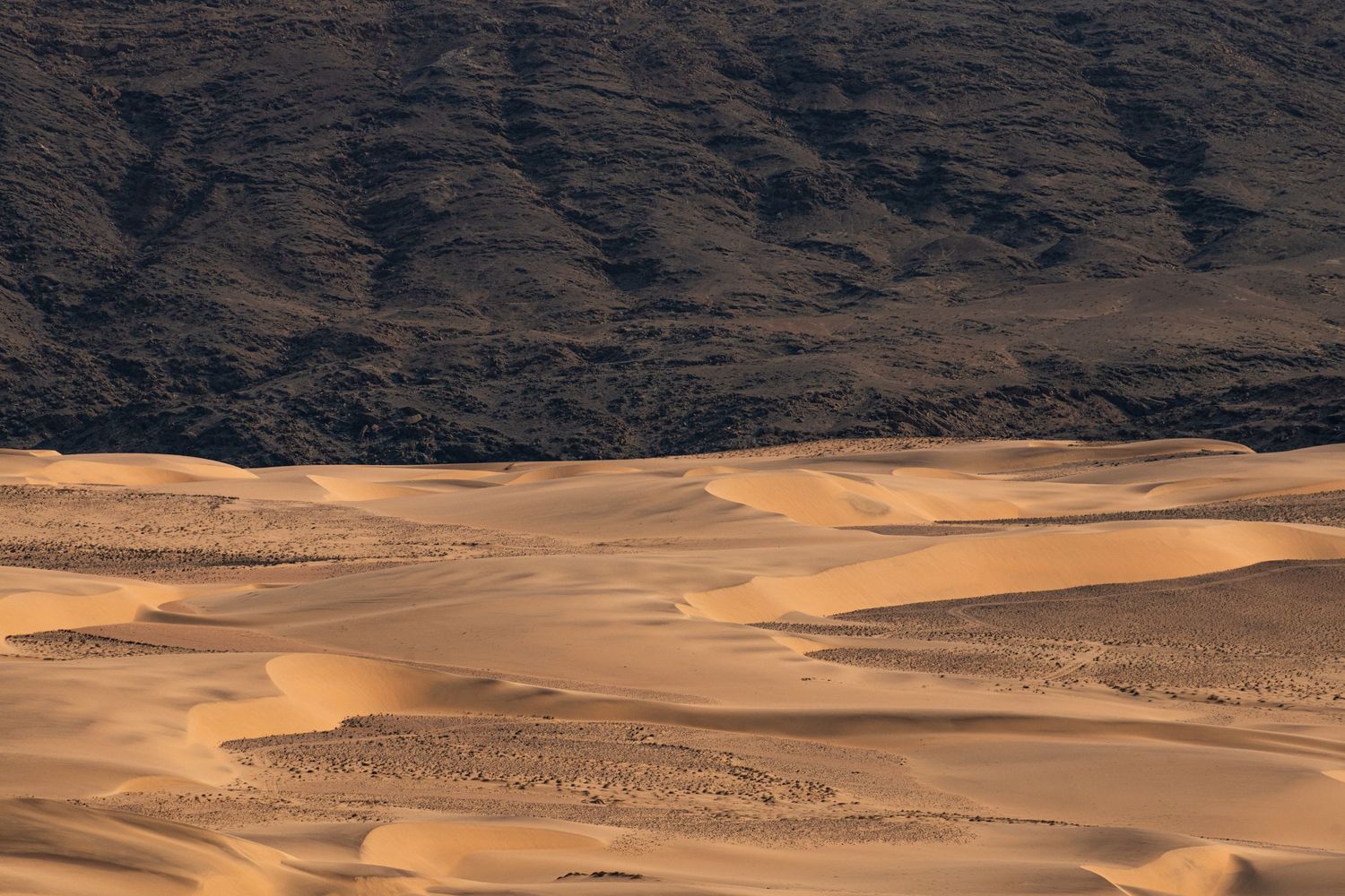 Vast golden sand dunes stretching toward dark volcanic mountain range in warm afternoon desert light.