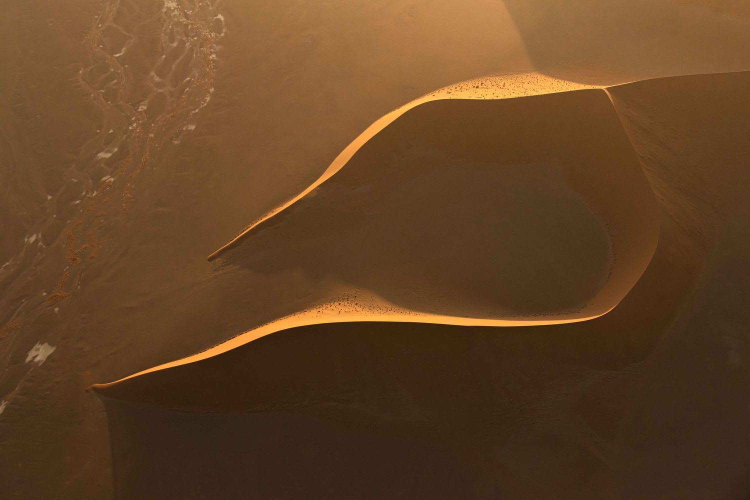 Aerial abstract view of golden sand dune ridges and shadows in the Namib Desert at sunrise.