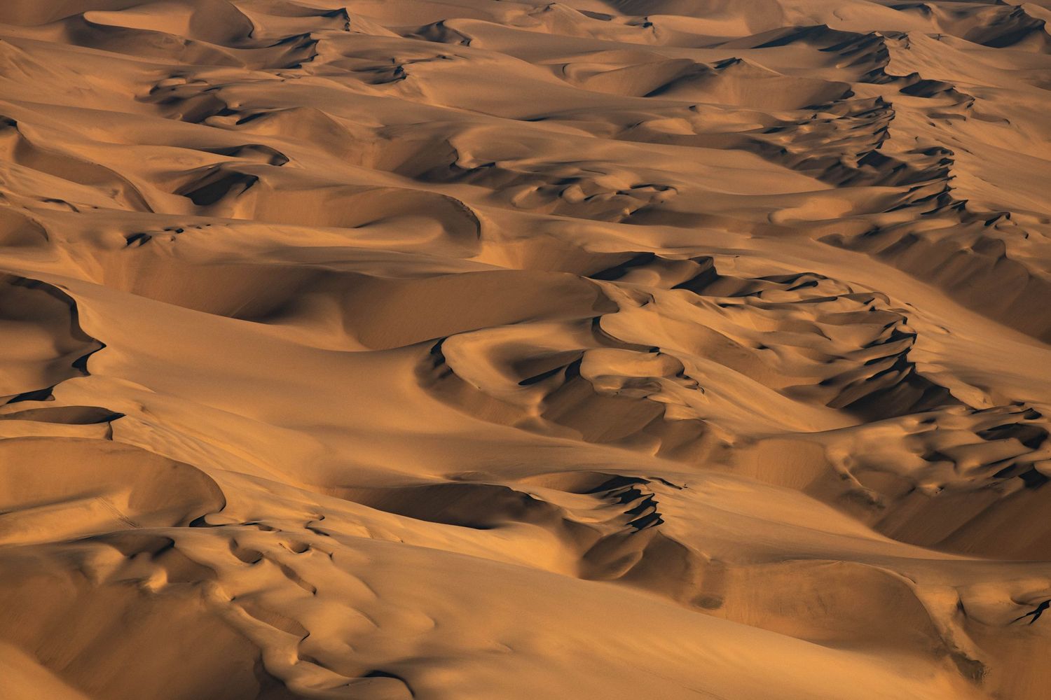 Aerial view of vast golden Namib Desert sand dunes with sweeping curves and deep shadows.