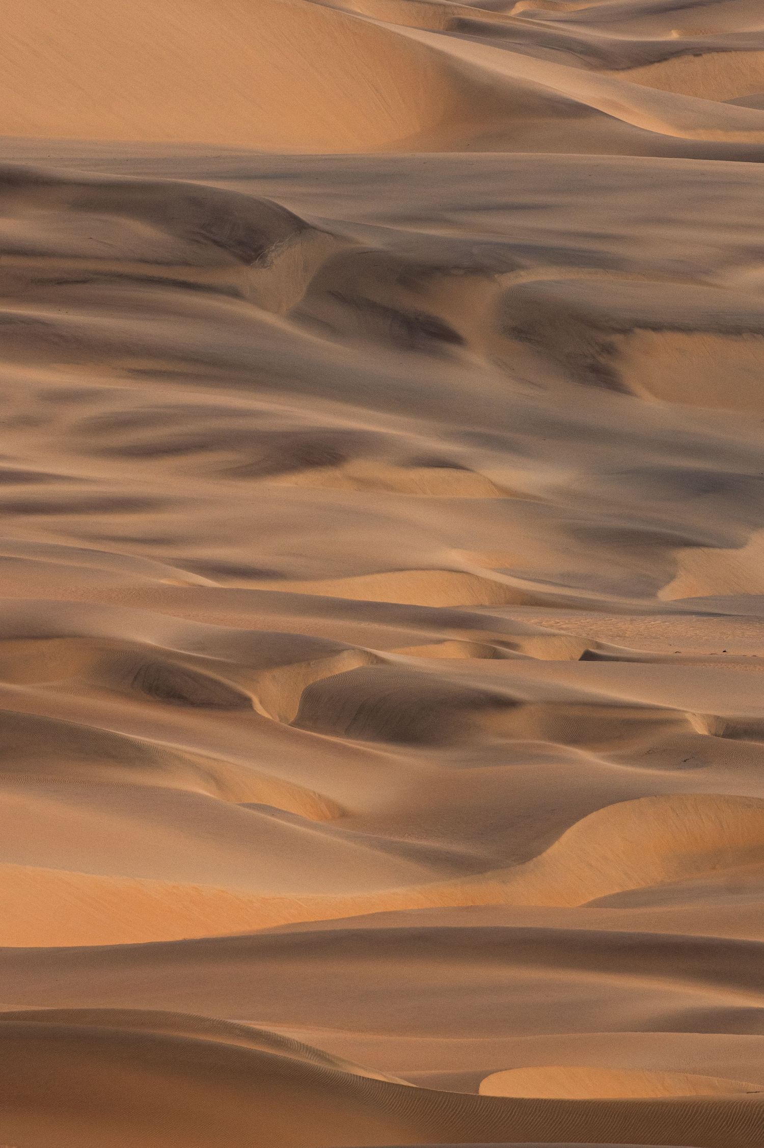 Abstract aerial pattern of golden sand dunes with sweeping shadows creating texture in Namib Desert.