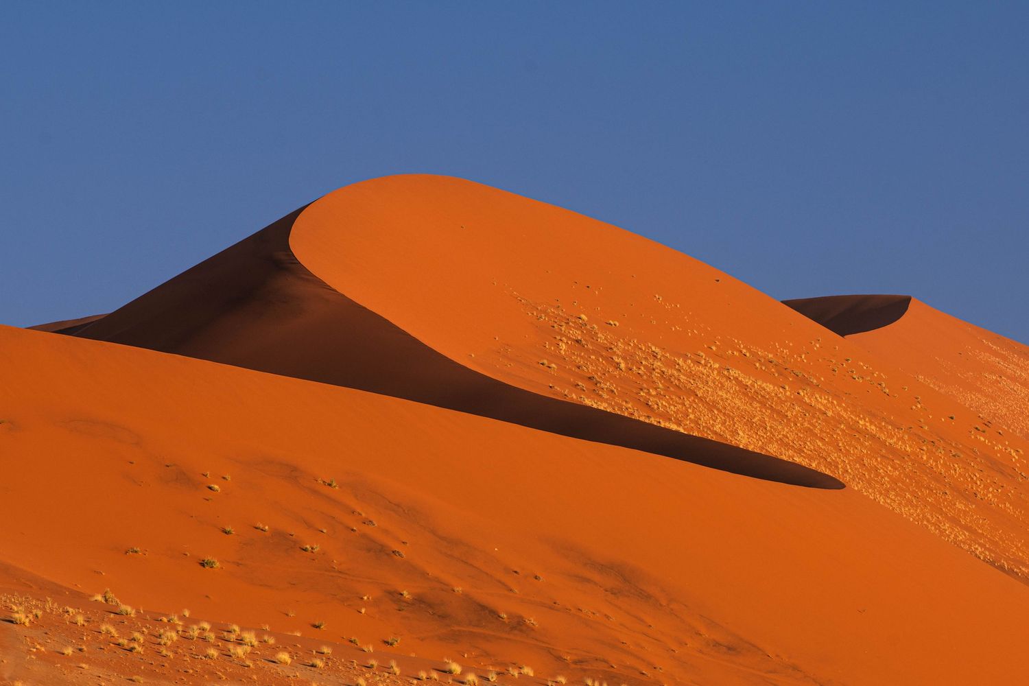 Vibrant orange-red sand dune with smooth curved ridgeline against a deep blue sky in the Namib Desert.